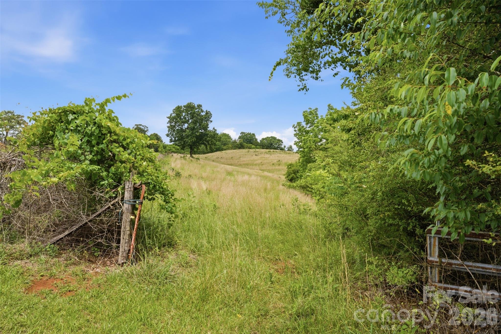 536 Pea Ridge Road Property Photo 8