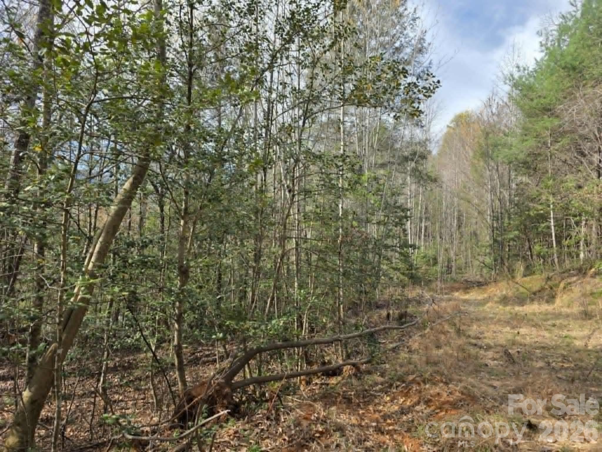 Lot 5 Kerlee Lane Property Photo 1