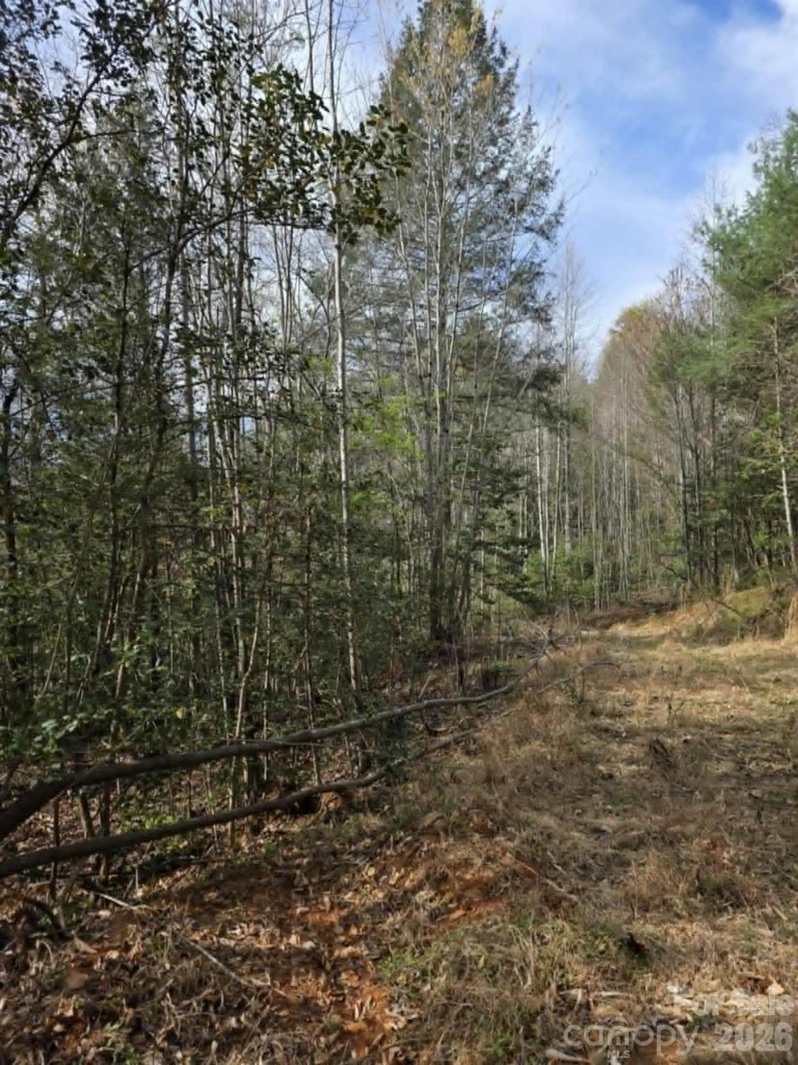 Lot 5 Kerlee Lane Property Photo 2