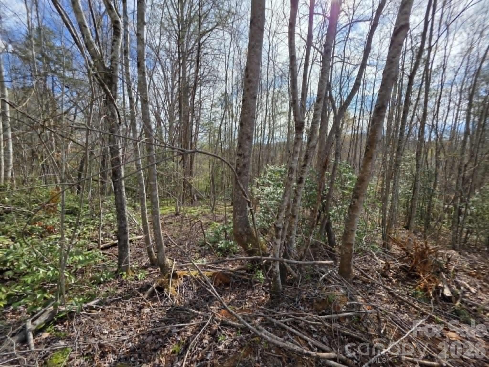 Lot 5 Kerlee Lane Property Photo 3
