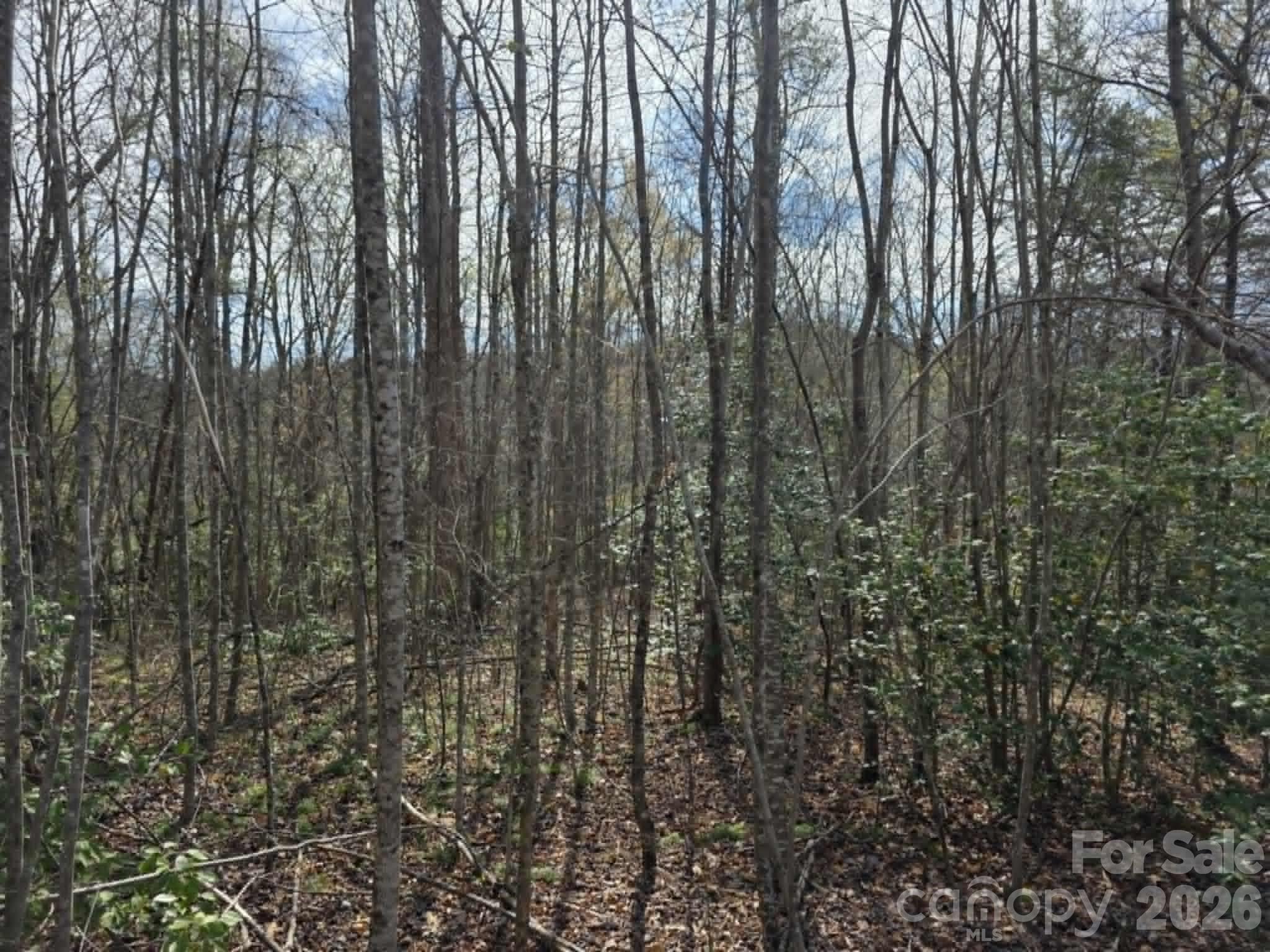 Lot 5 Kerlee Lane Property Photo 4
