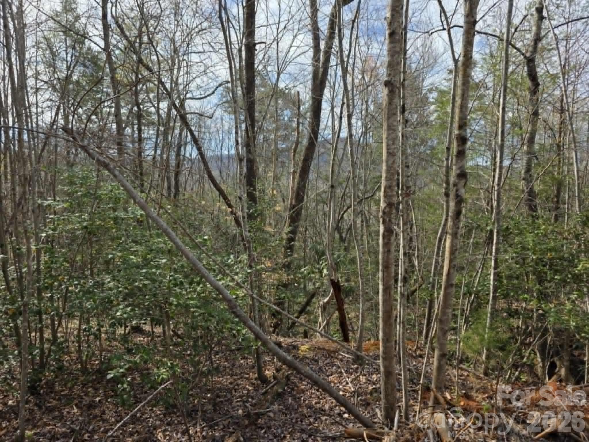 Lot 5 Kerlee Lane Property Photo 5