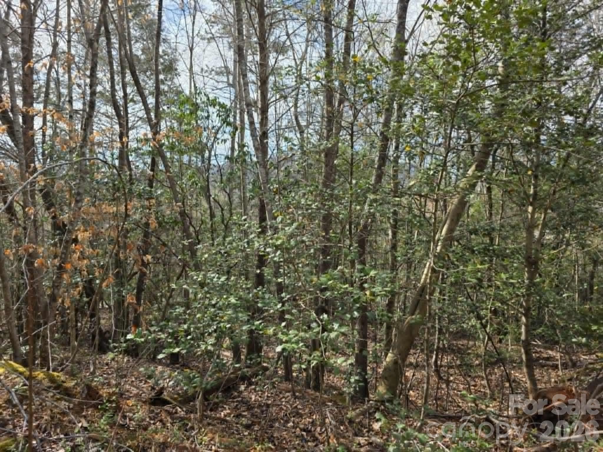 Lot 5 Kerlee Lane Property Photo 6