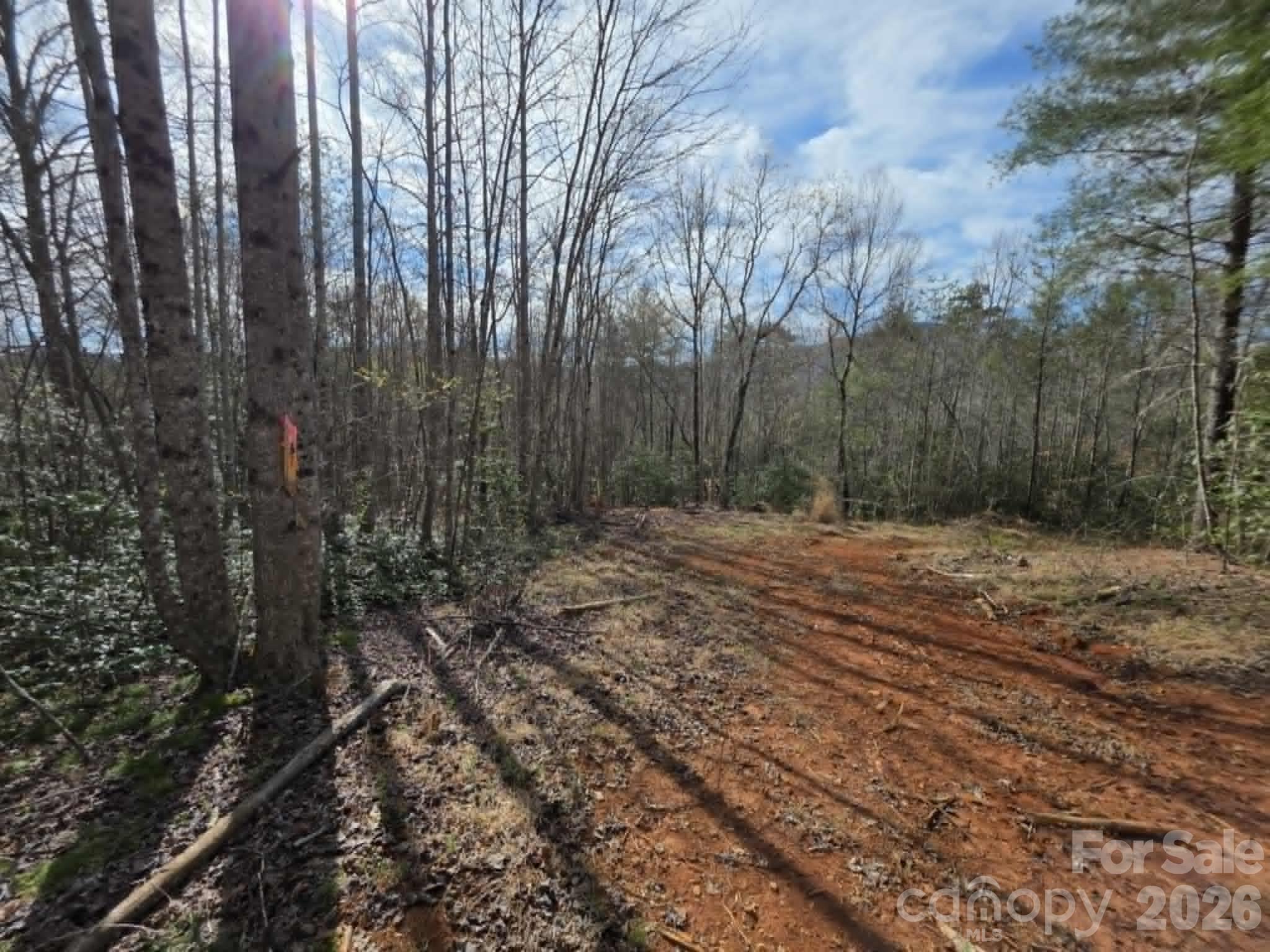 Lot 5 Kerlee Lane Property Photo 7