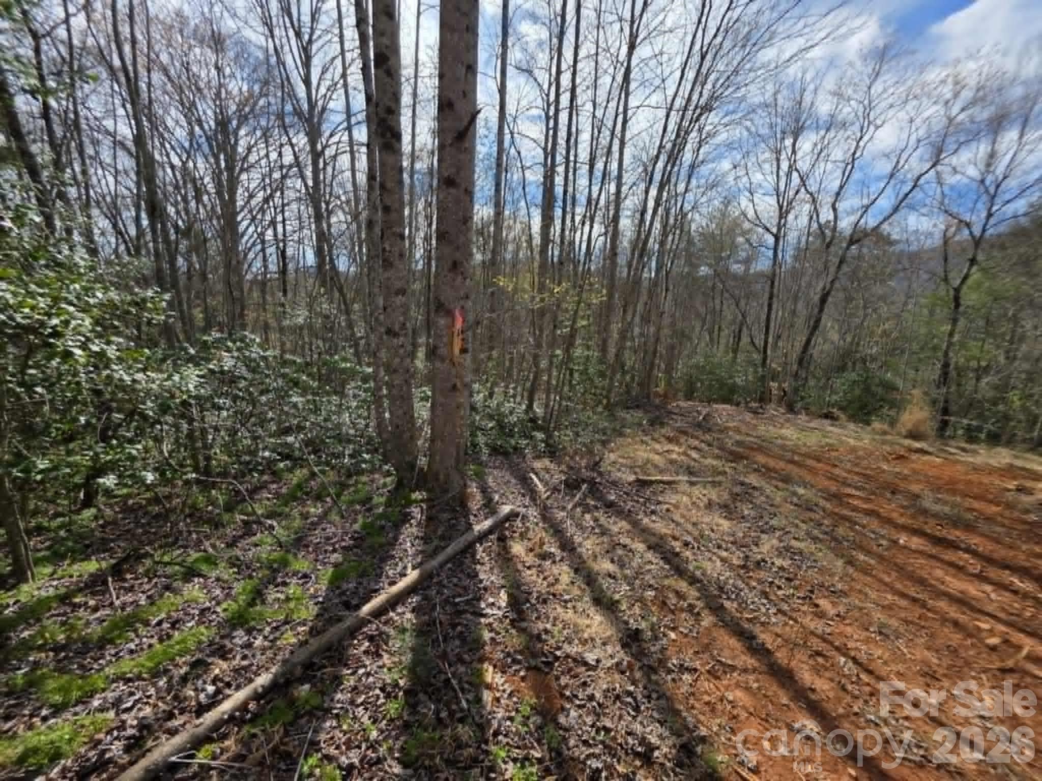 Lot 5 Kerlee Lane Property Photo 8