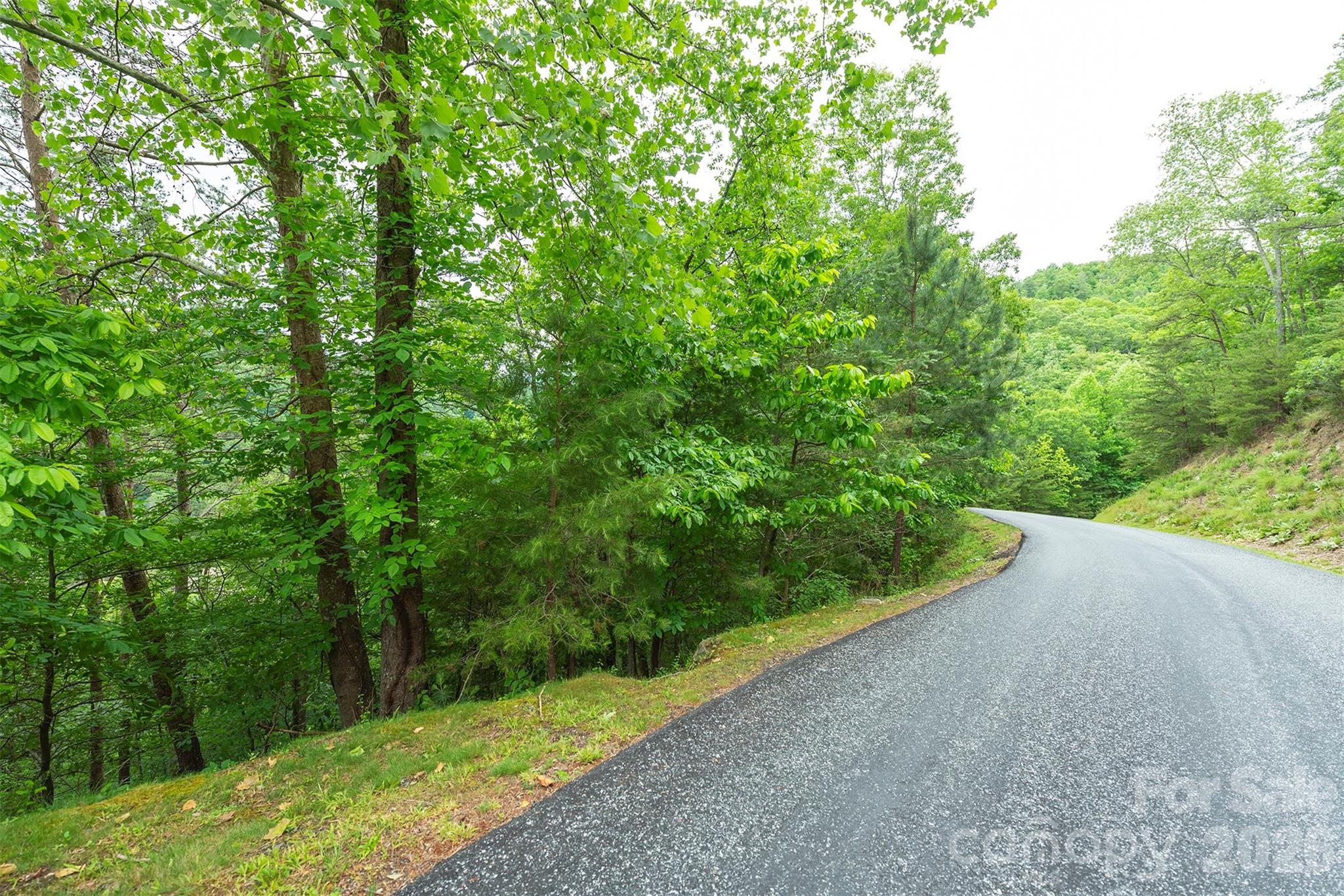 2391 French Broad Parkway 34 Property Photo 6