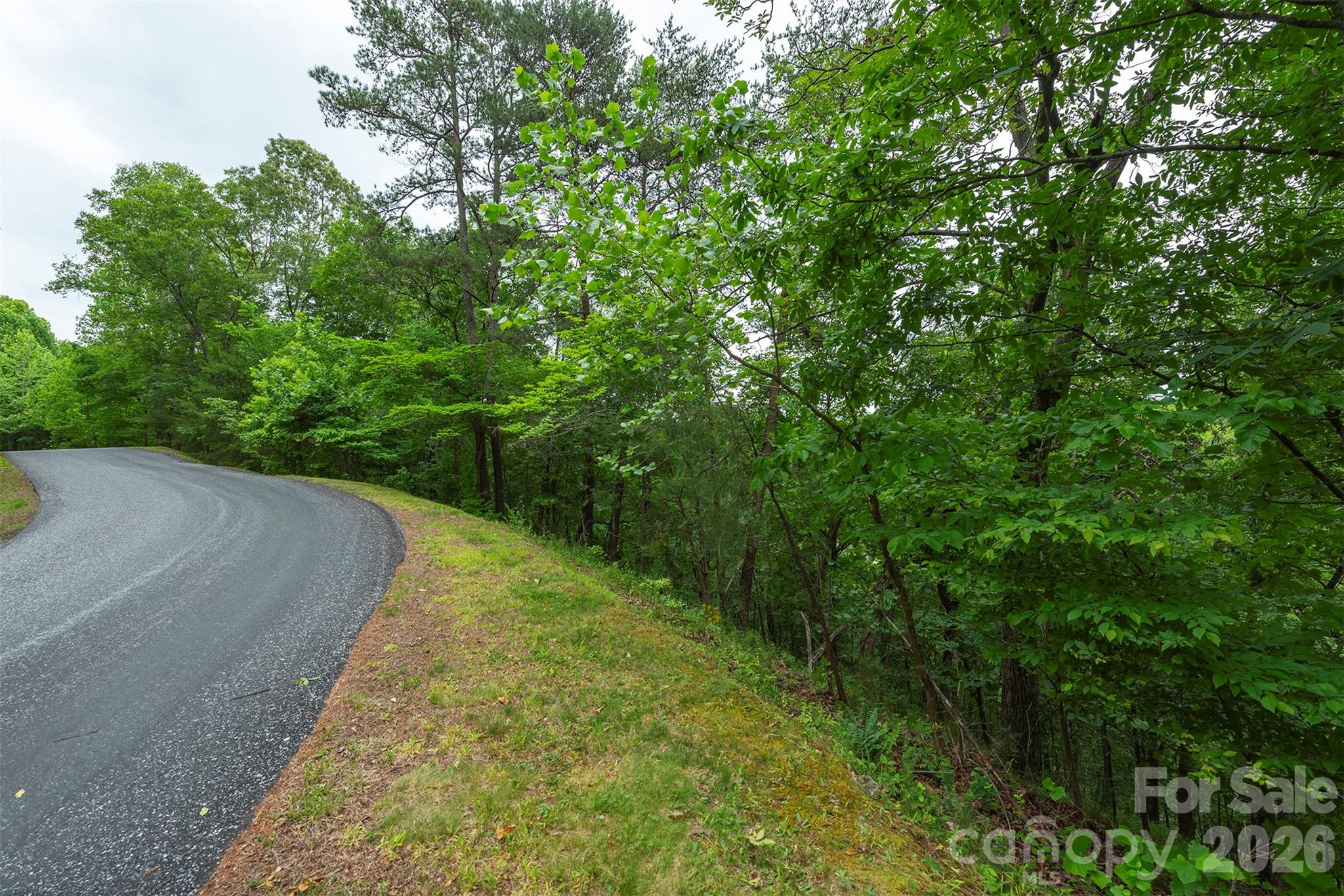 2391 French Broad Parkway 34 Property Photo 7