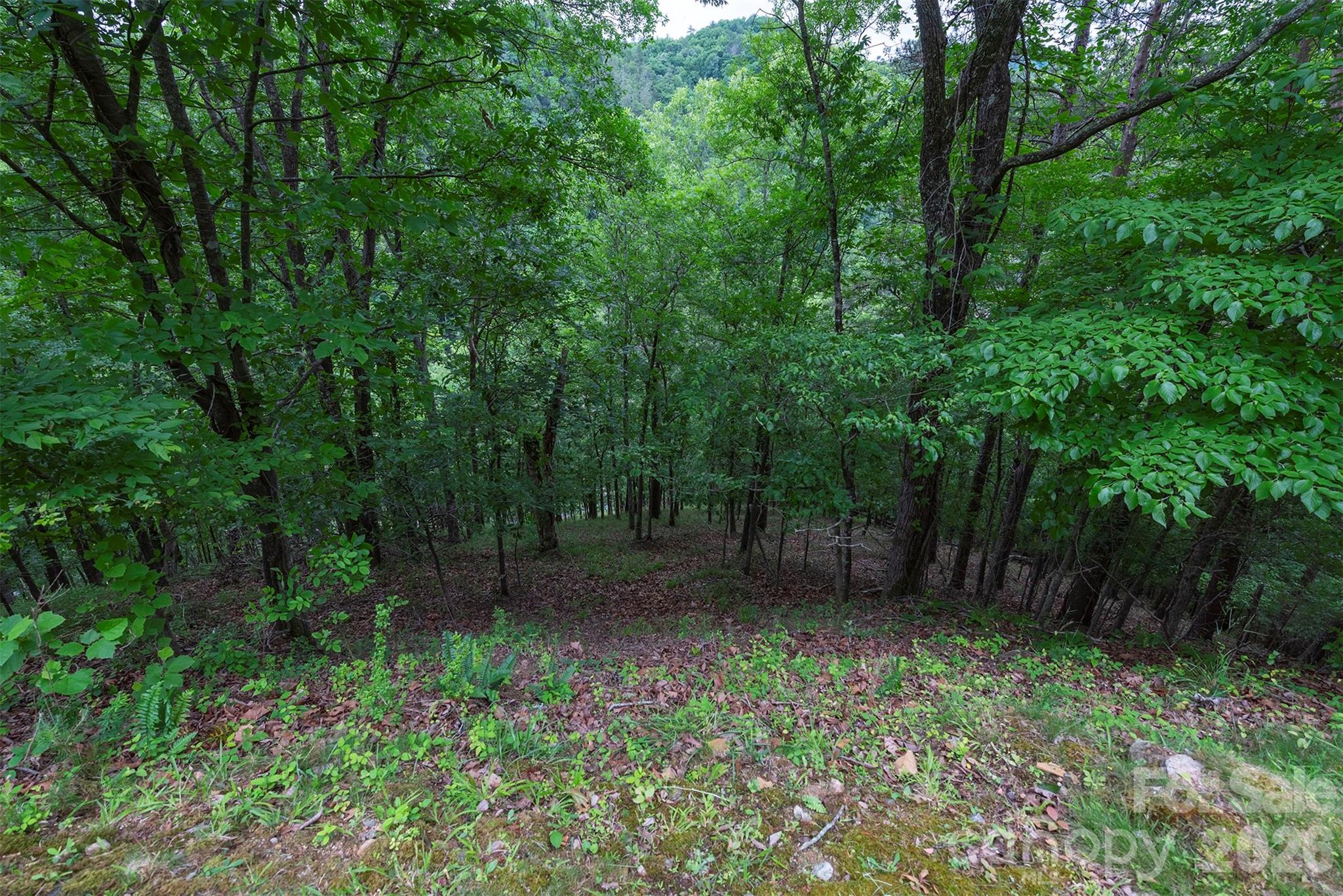 2391 French Broad Parkway 34 Property Photo 8