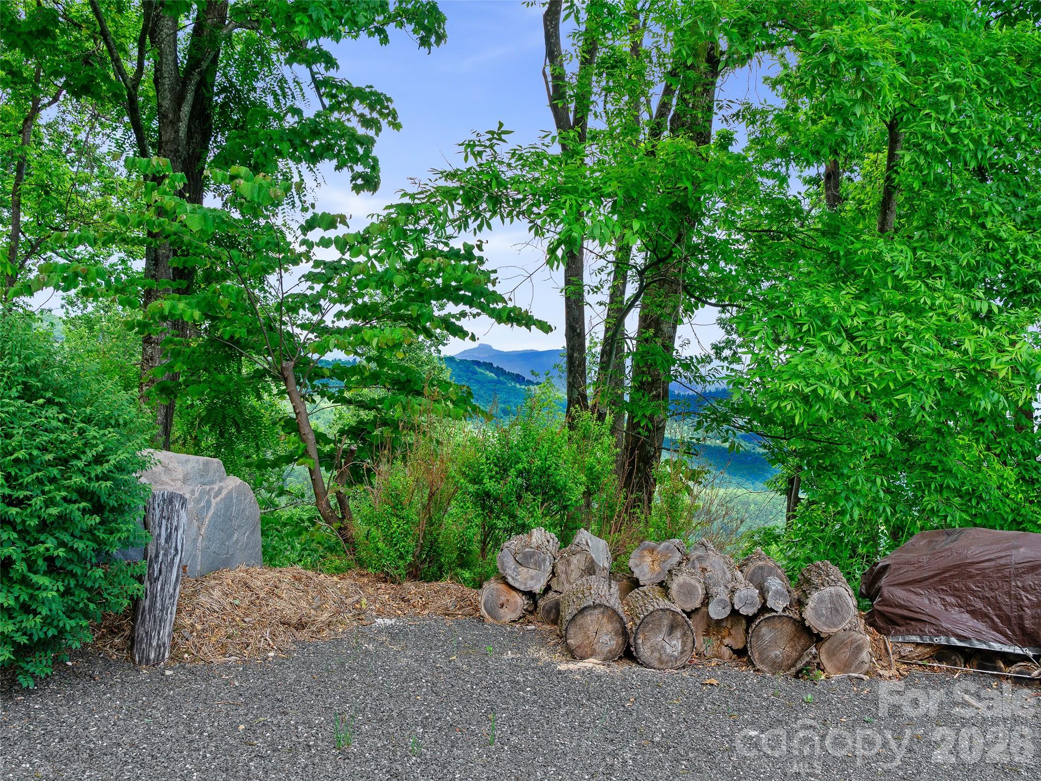 729 Bear Wallow Road Property Photo 30