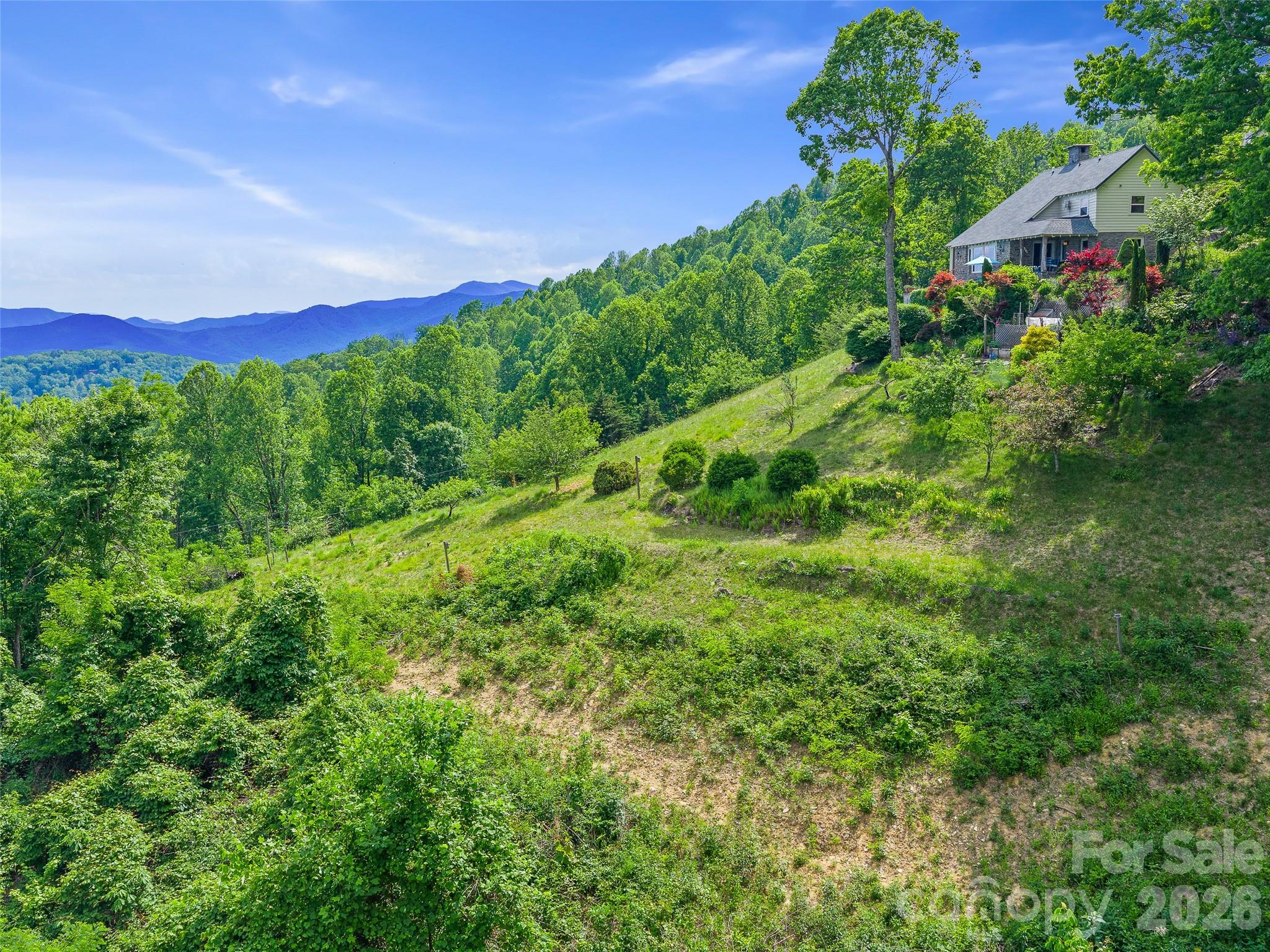 729 Bear Wallow Road Property Photo 46