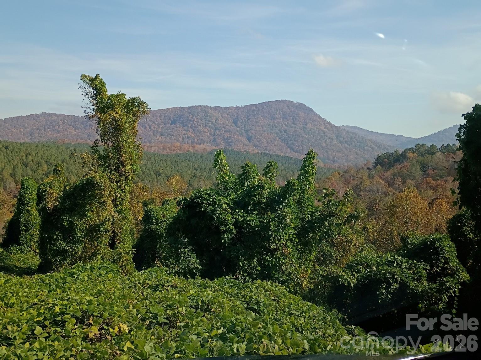 3024 Camp Creek Road Property Photo 2