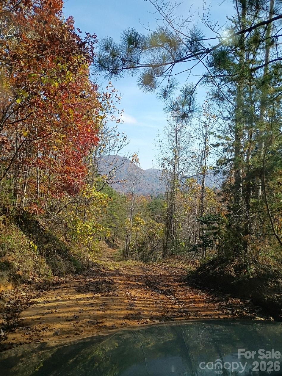 3024 Camp Creek Road Property Photo 4