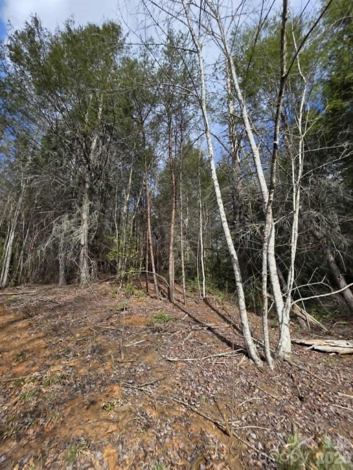 Lot 4 Kerlee Lane Property Photo 1