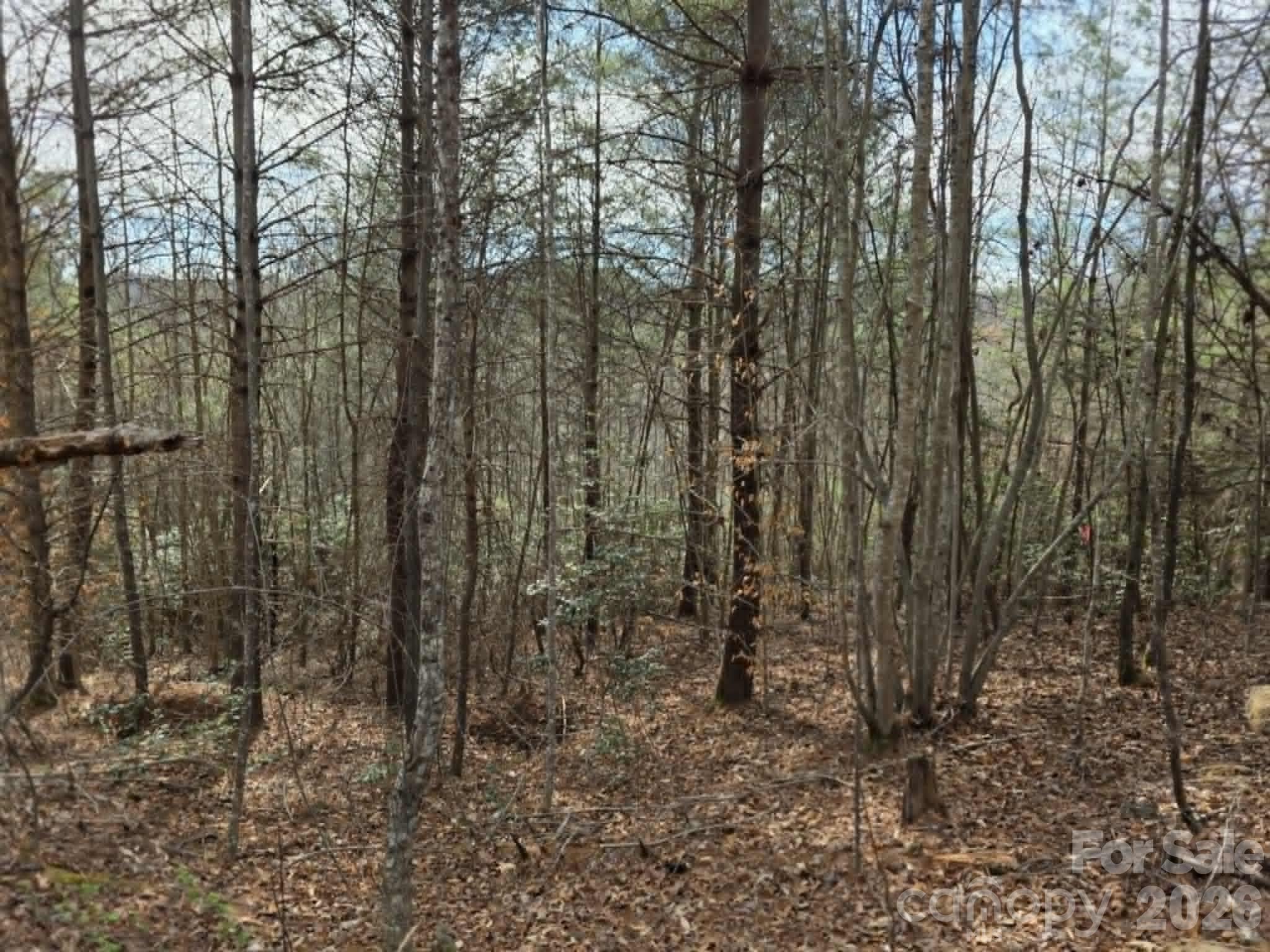 Lot 4 Kerlee Lane Property Photo 2