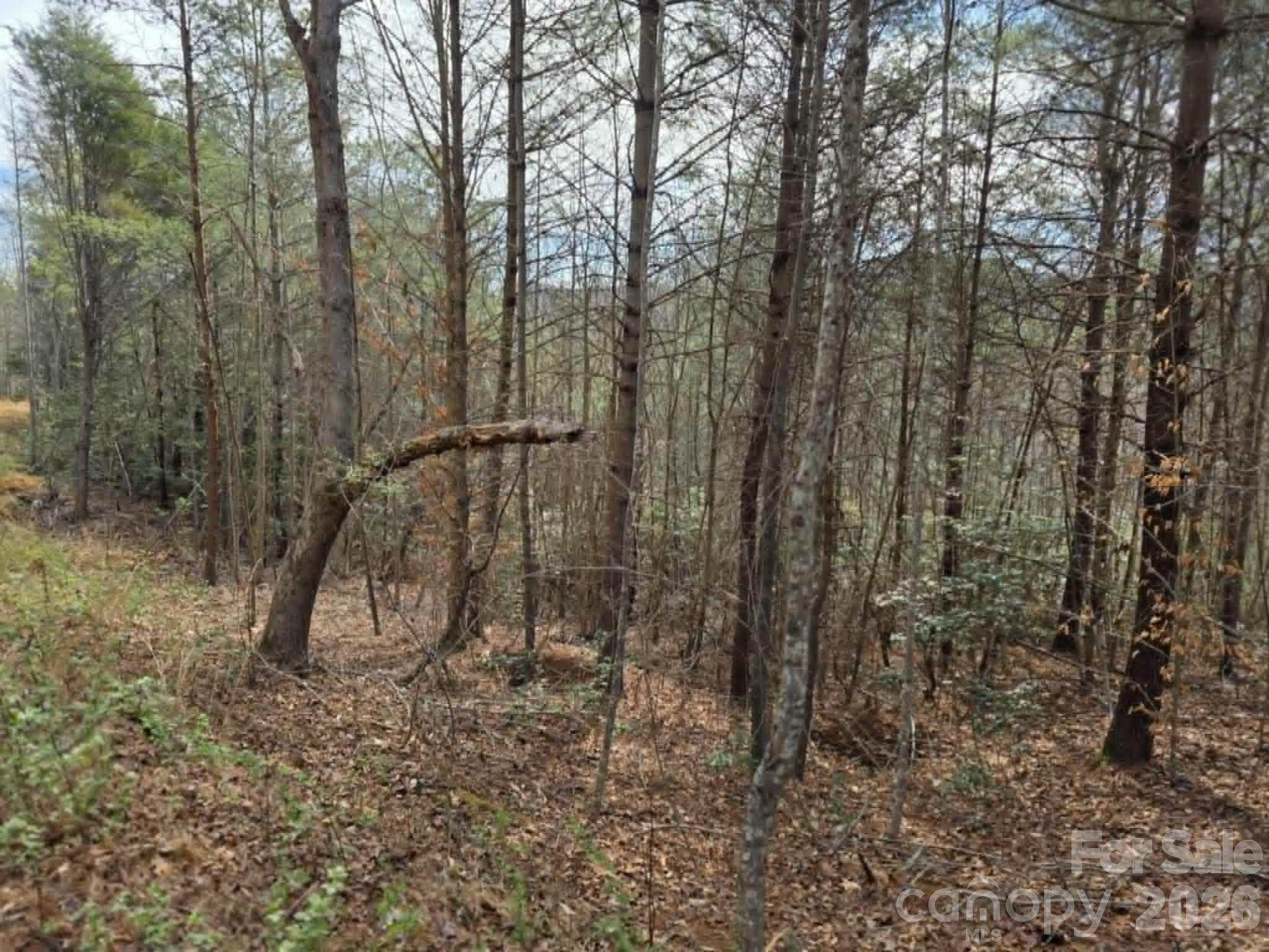 Lot 4 Kerlee Lane Property Photo 3