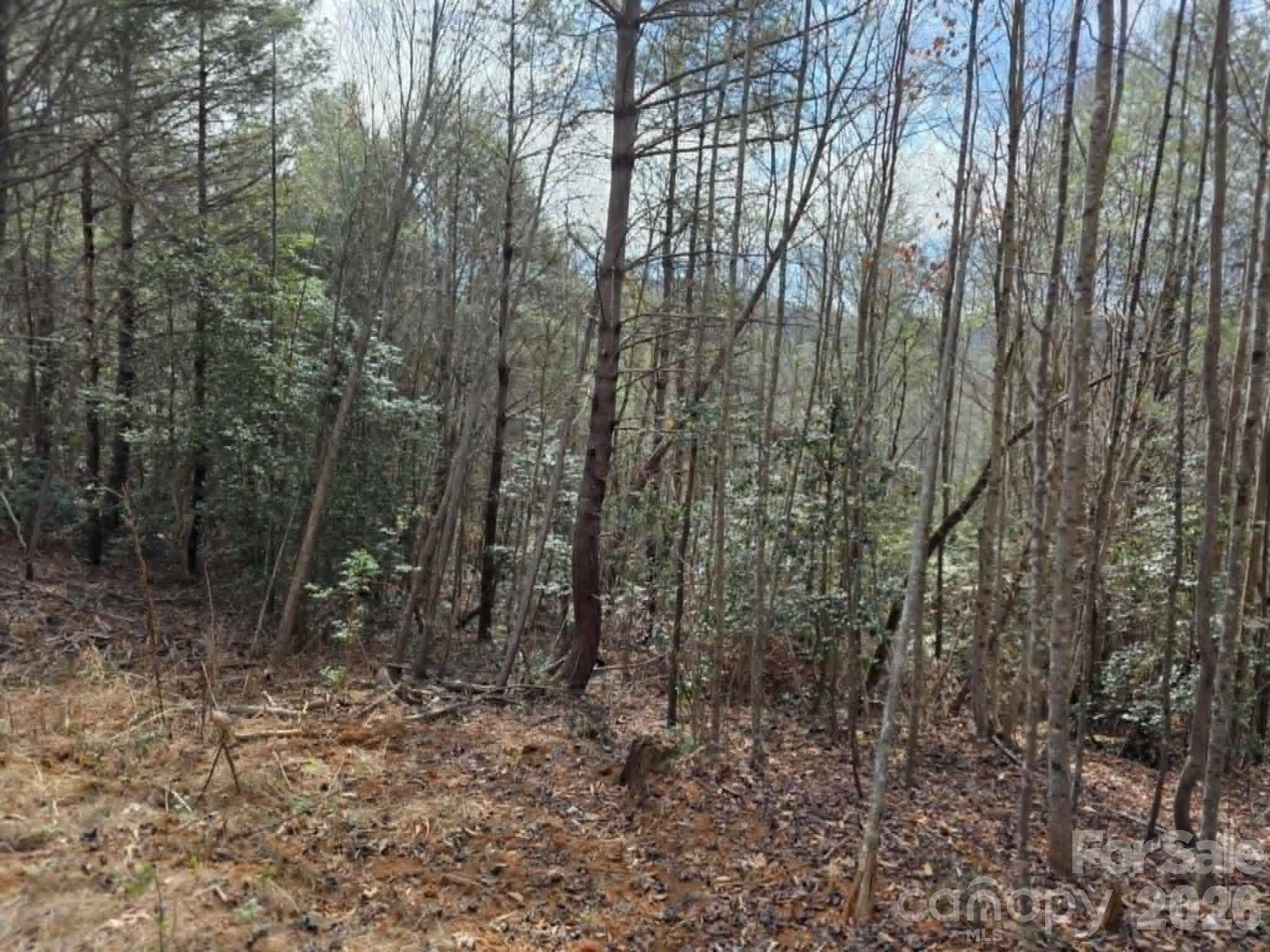 Lot 4 Kerlee Lane Property Photo 4