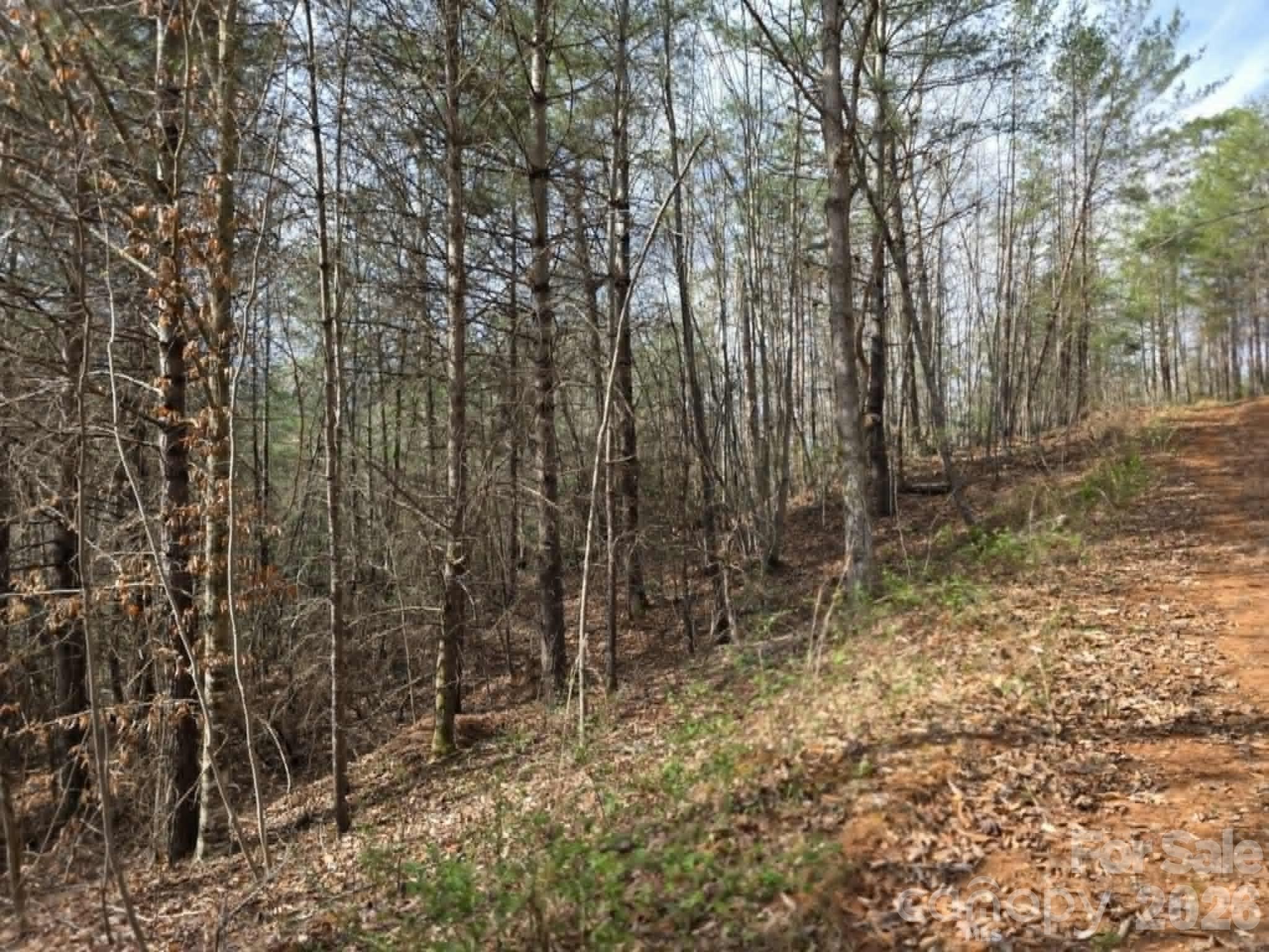 Lot 4 Kerlee Lane Property Photo 5