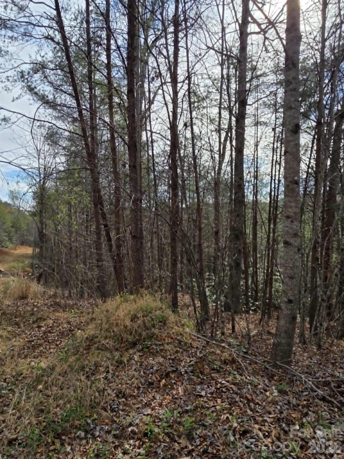 Lot 4 Kerlee Lane Property Photo 6