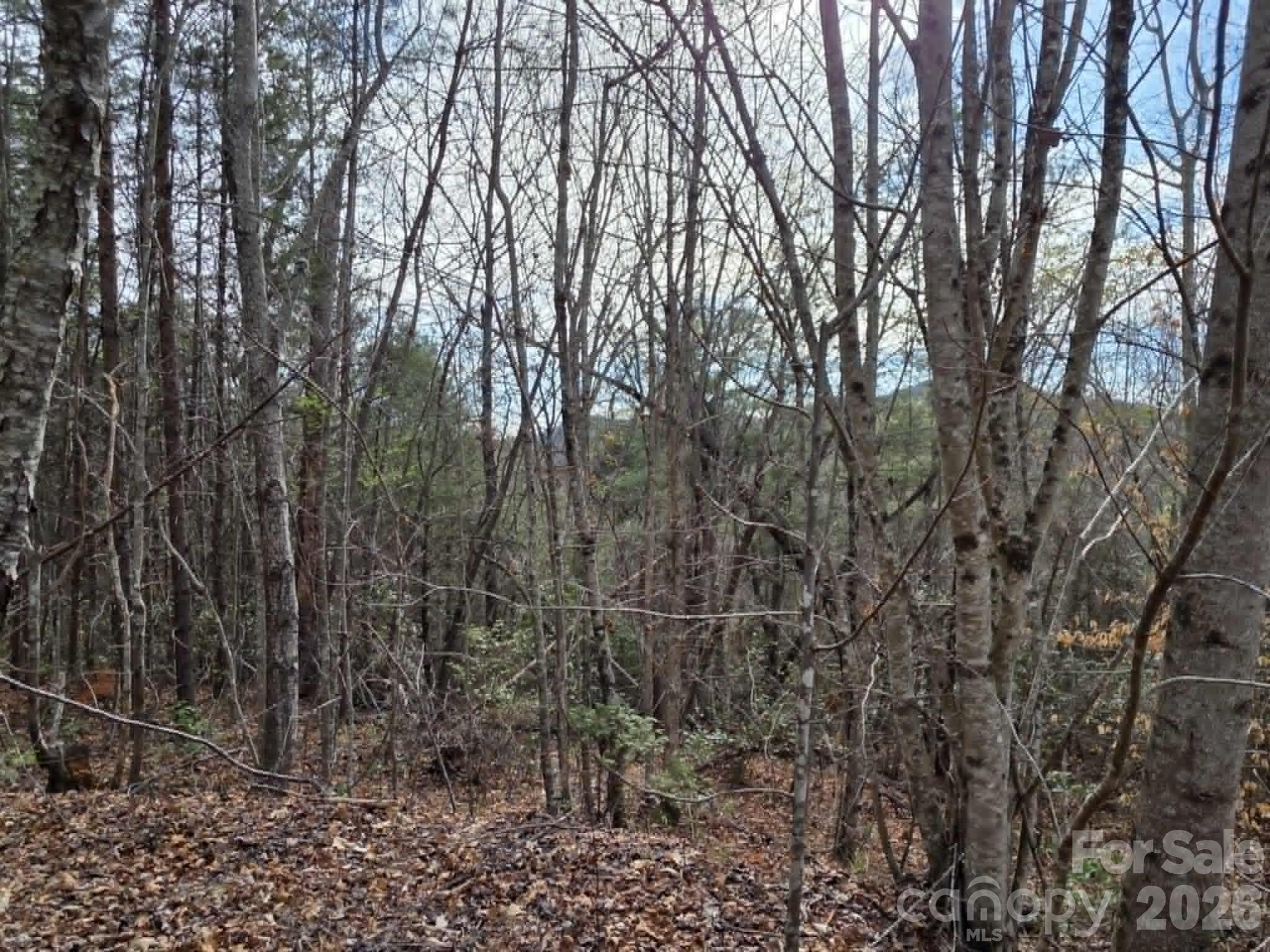Lot 4 Kerlee Lane Property Photo 7