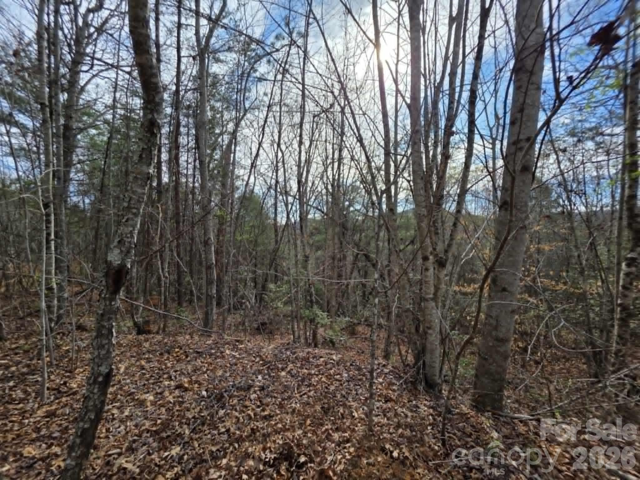 Lot 4 Kerlee Lane Property Photo 8
