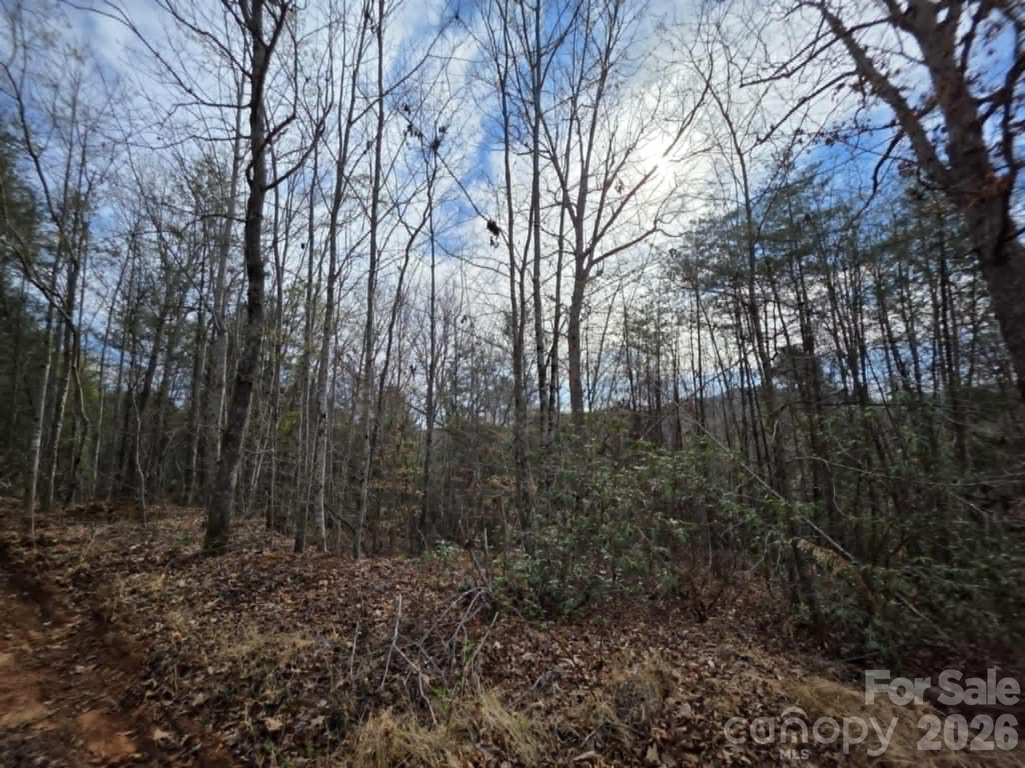 Lot 4 Kerlee Lane Property Photo 9