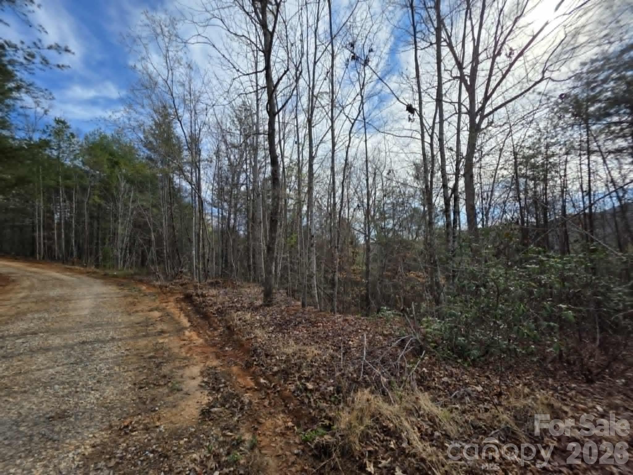 Lot 4 Kerlee Lane Property Photo 10