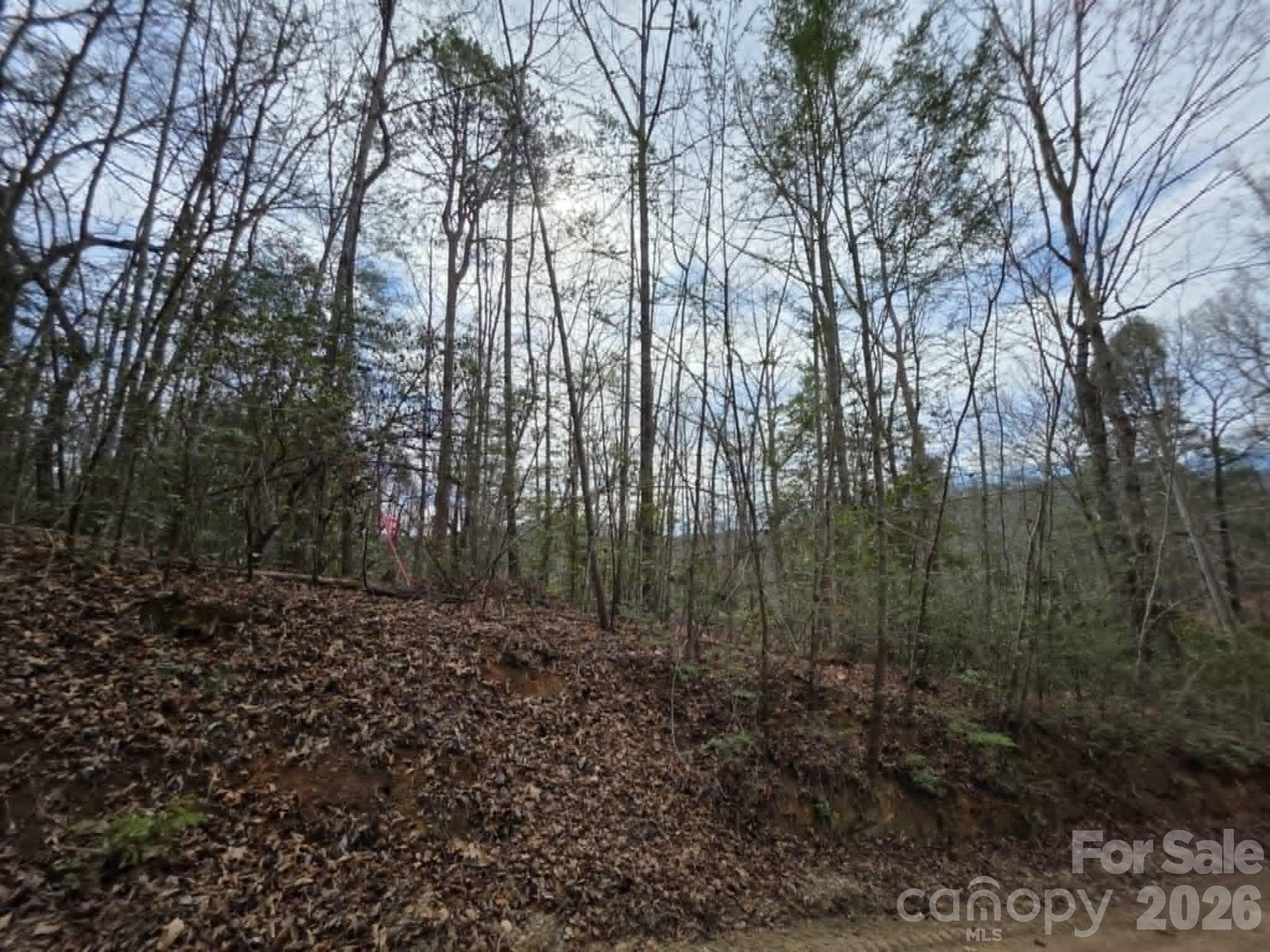 Lot 1 Kerlee Lane Property Photo 3
