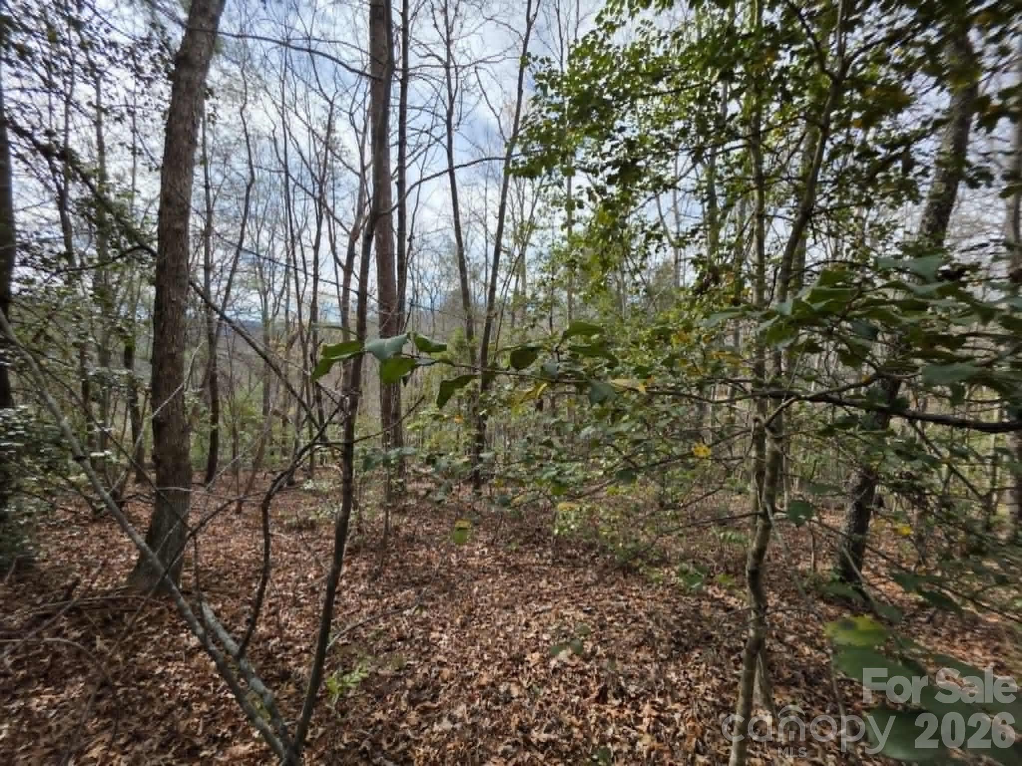 Lot 1 Kerlee Lane Property Photo 4