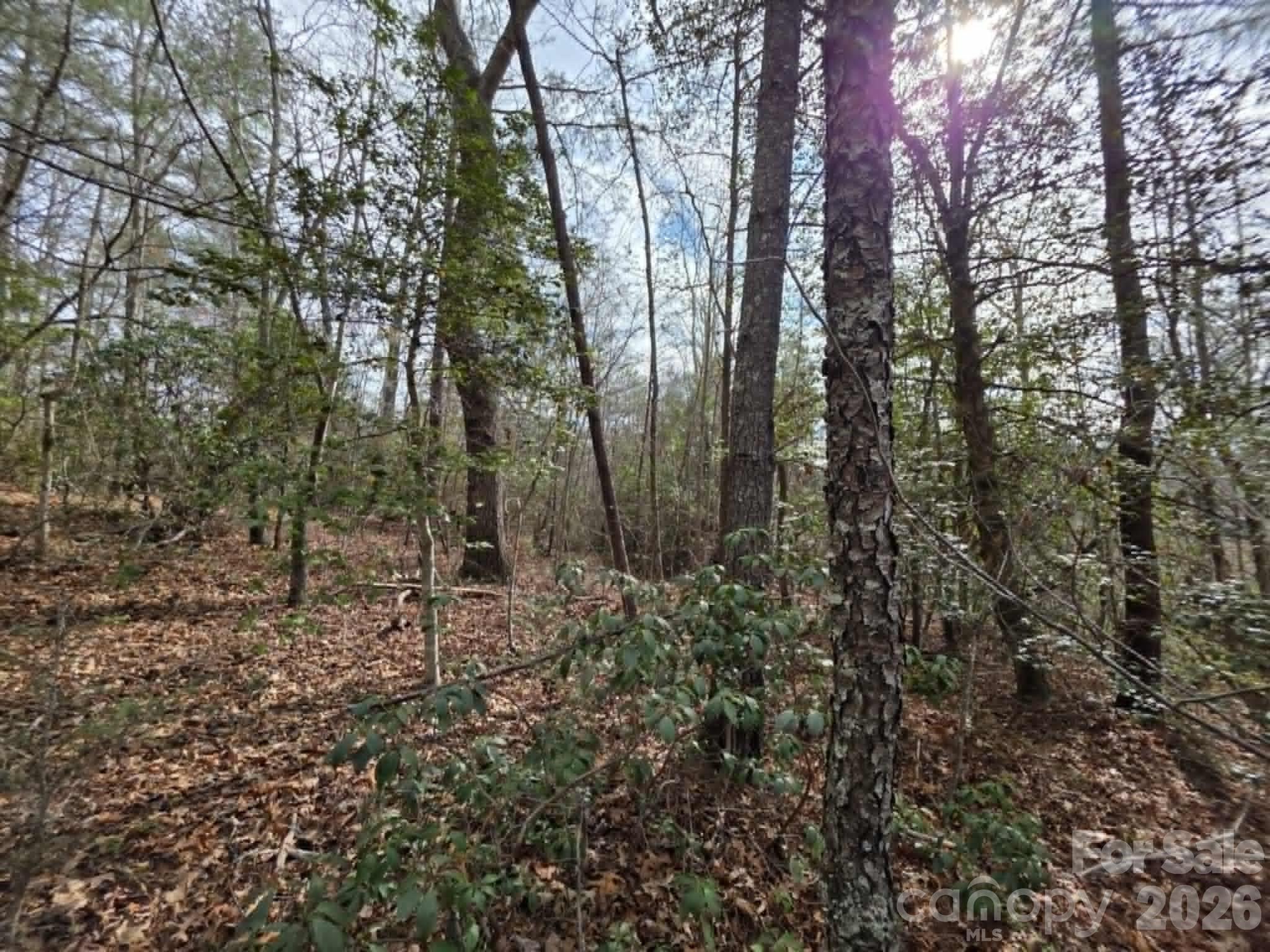 Lot 1 Kerlee Lane Property Photo 5