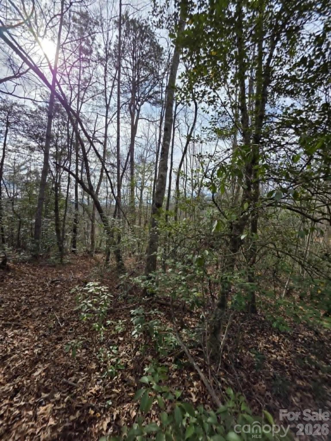 Lot 1 Kerlee Lane Property Photo 6