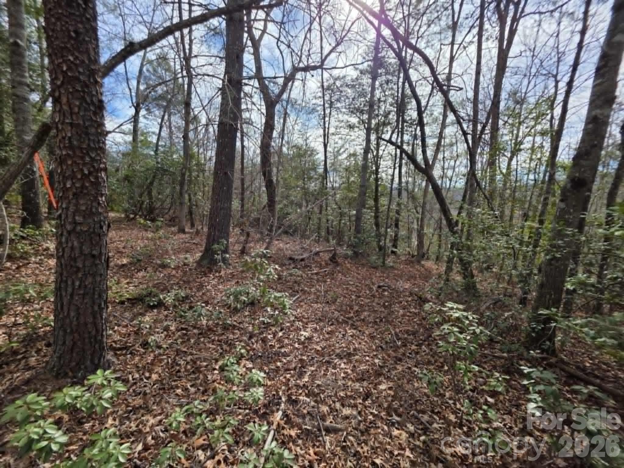 Lot 1 Kerlee Lane Property Photo 7