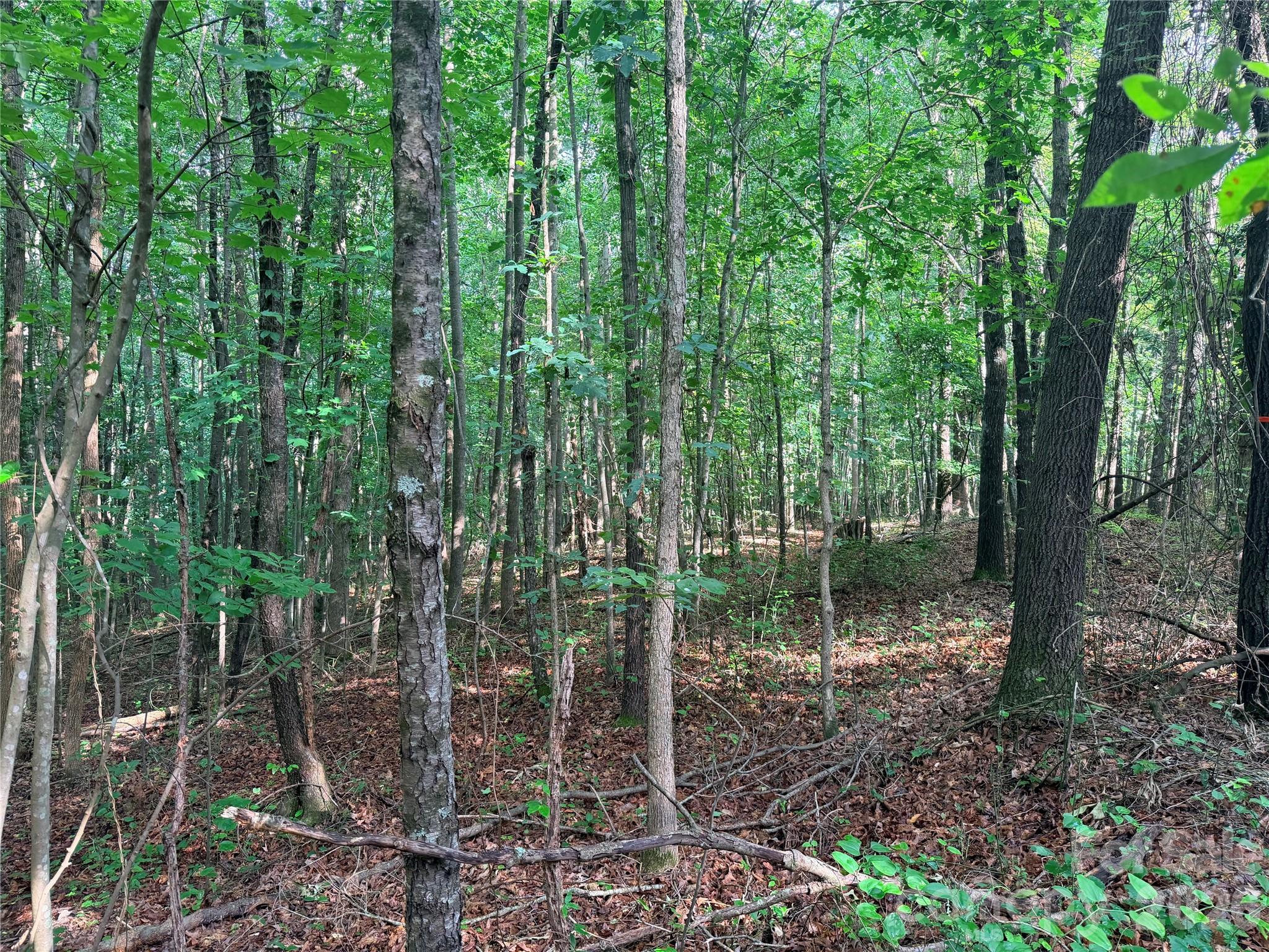 Lot 3 Schenck Farm Road Property Photo 3