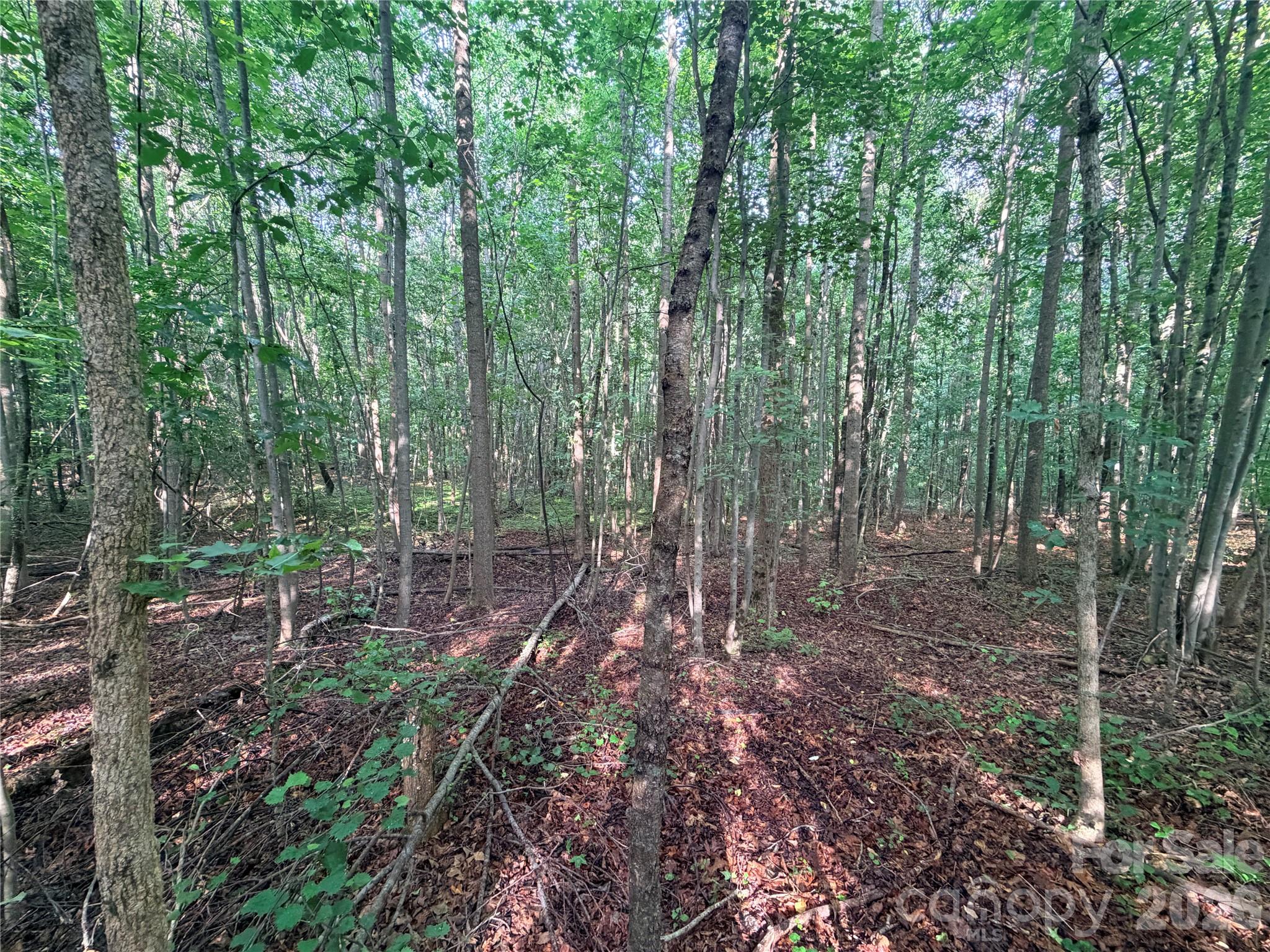 Lot 3 Schenck Farm Road Property Photo 4