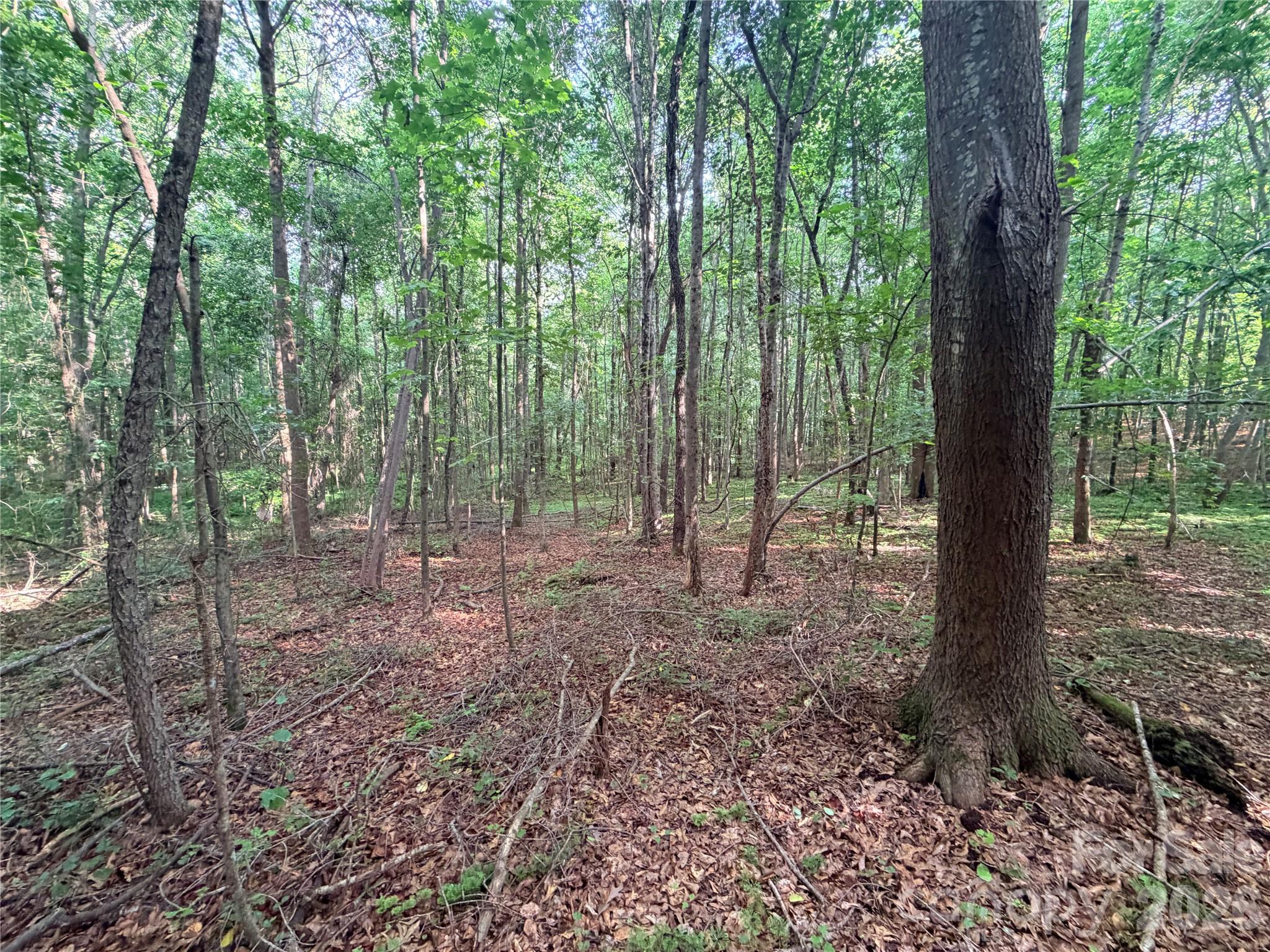 Lot 3 Schenck Farm Road Property Photo 7