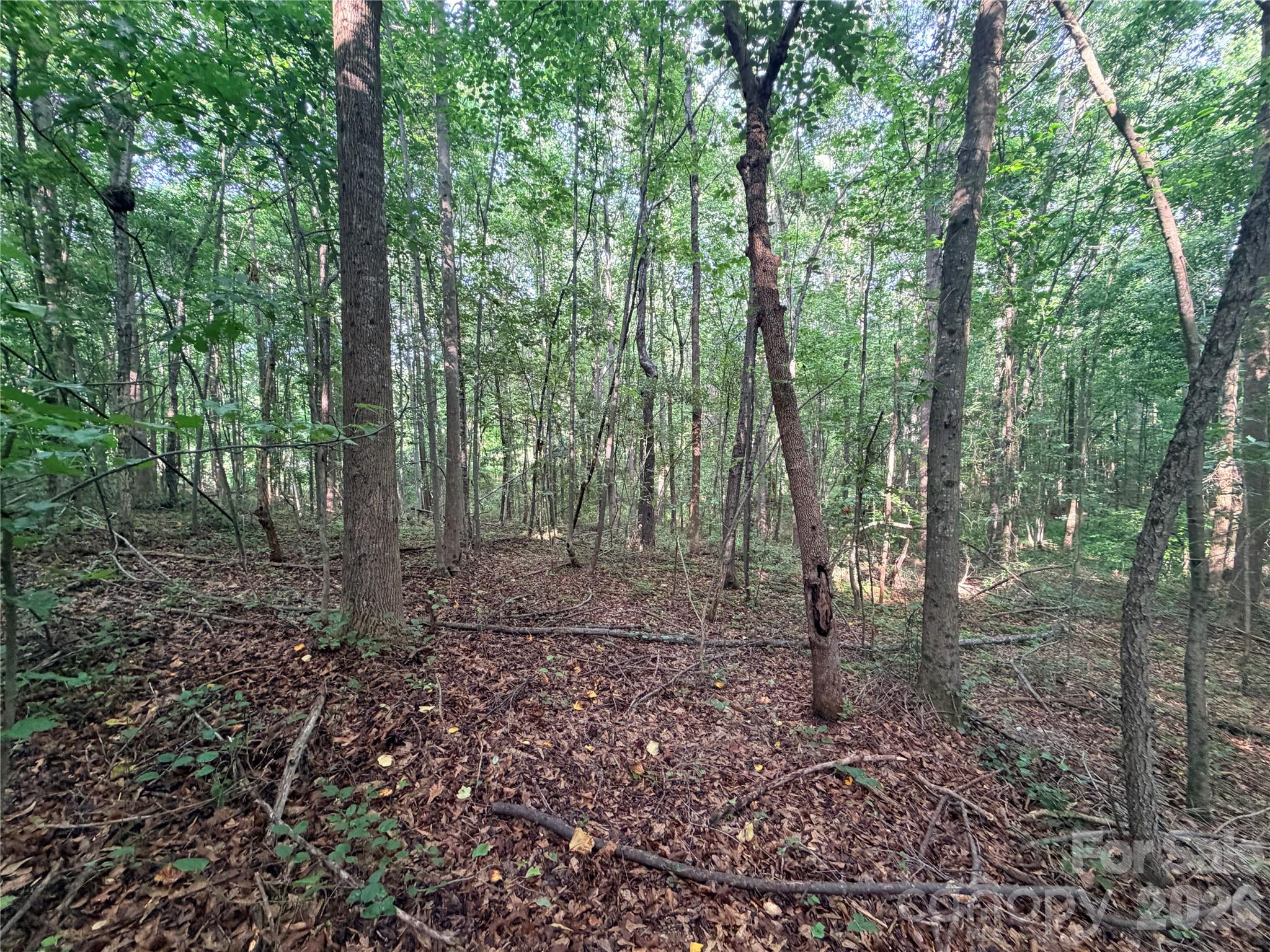 Lot 3 Schenck Farm Road Property Photo 8