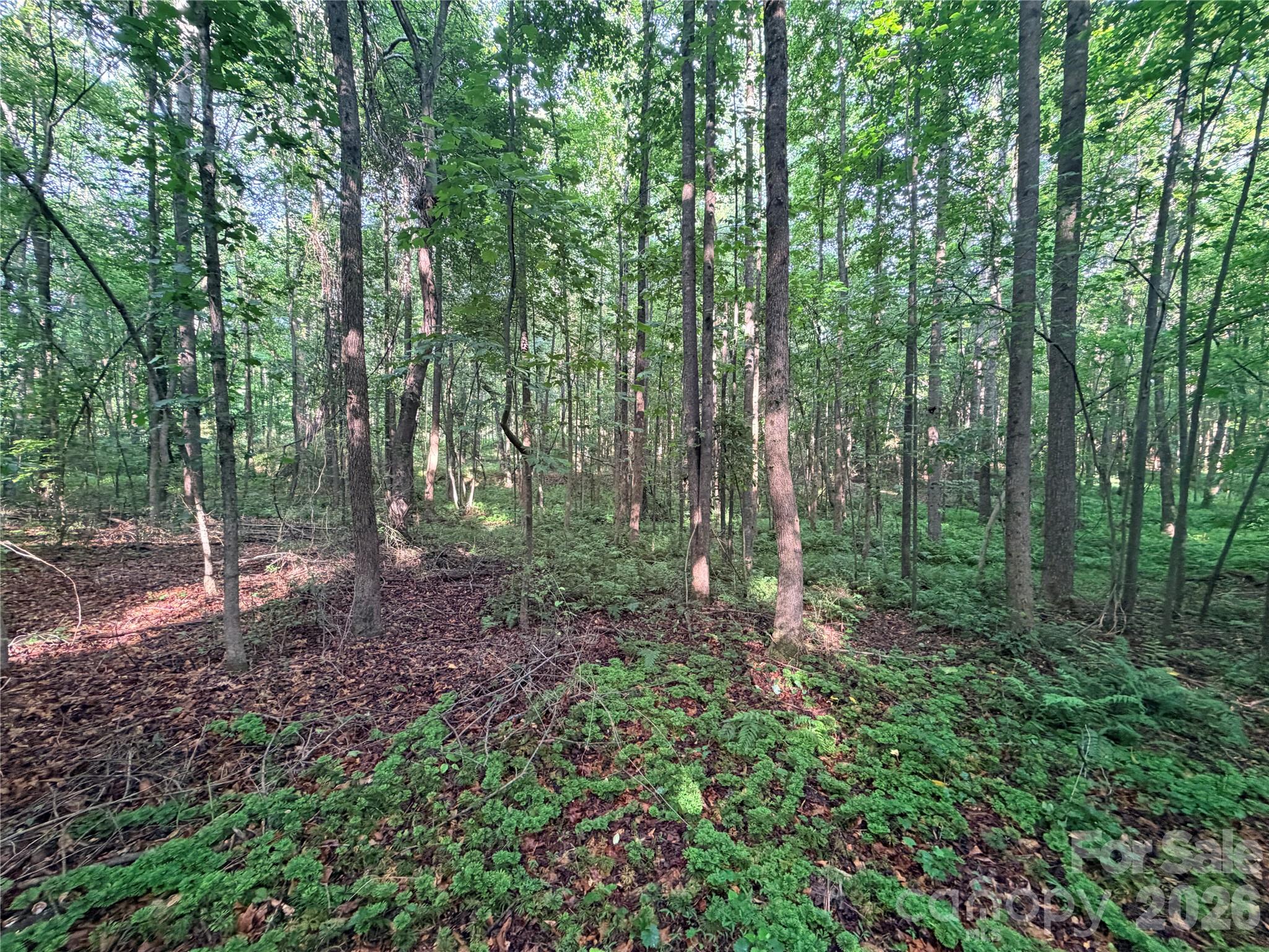 Lot 3 Schenck Farm Road Property Photo 9