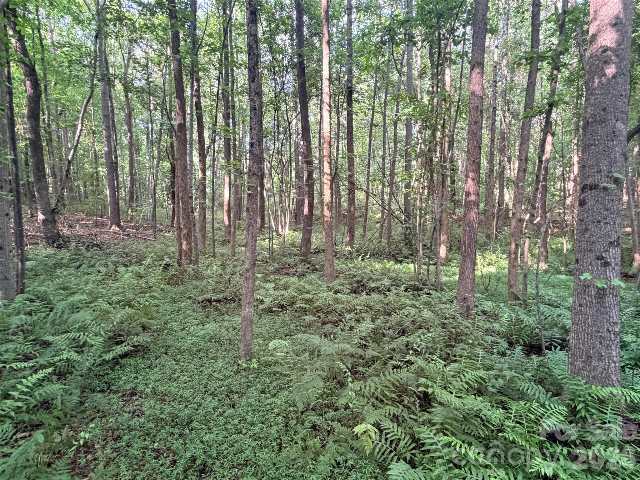 Lot 3 Schenck Farm Road Property Photo 10