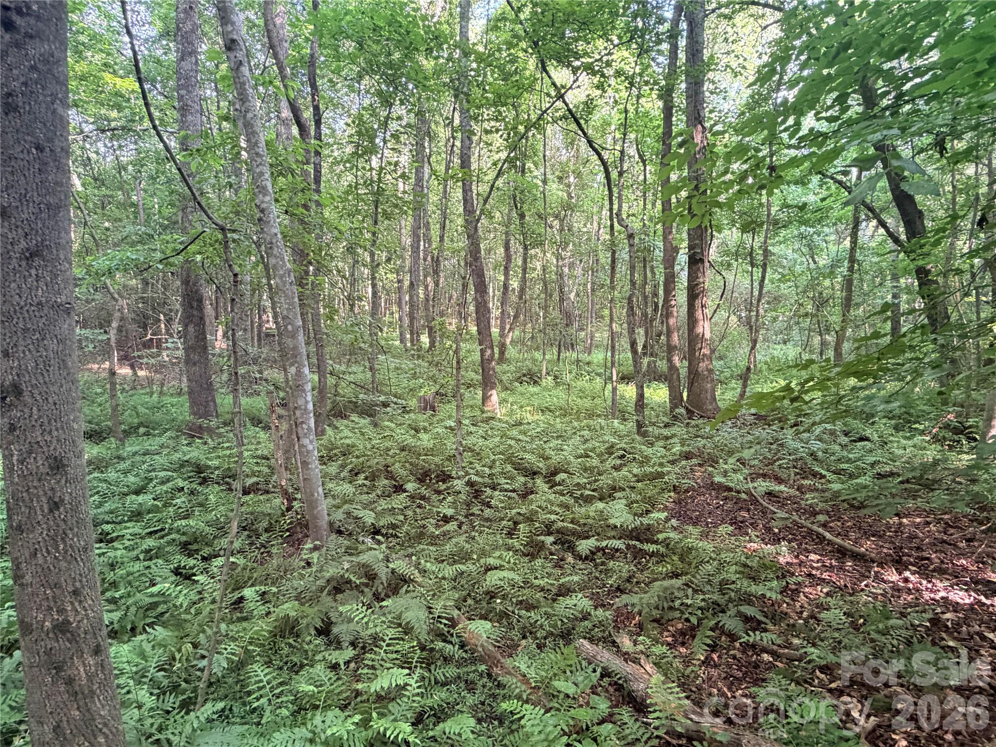 Lot 3 Schenck Farm Road Property Photo 11