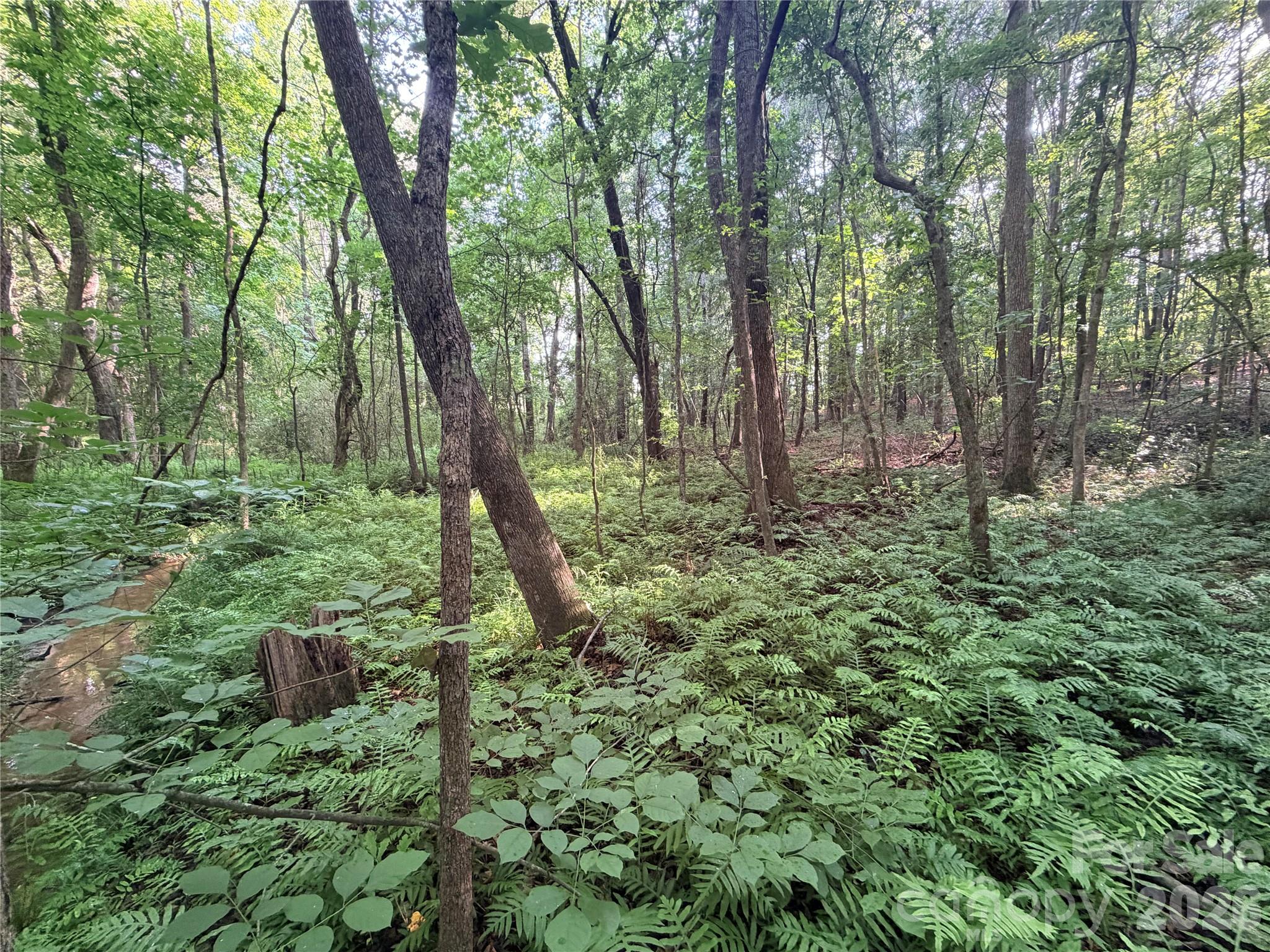 Lot 3 Schenck Farm Road Property Photo 13