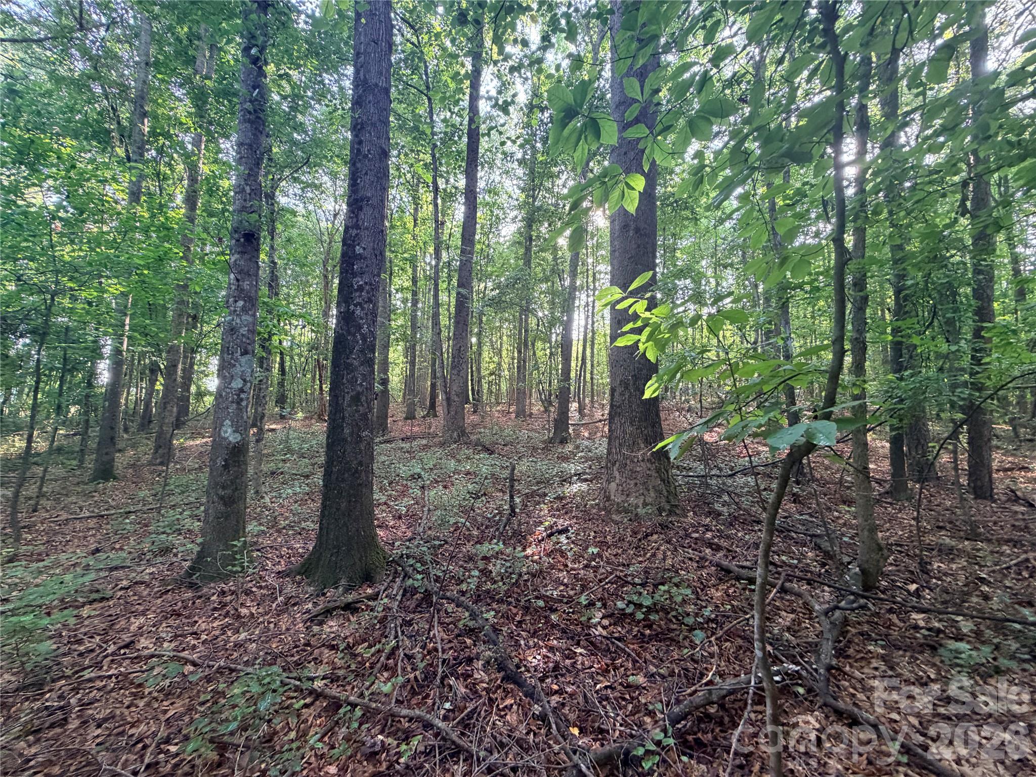 Lot 3 Schenck Farm Road Property Photo 14