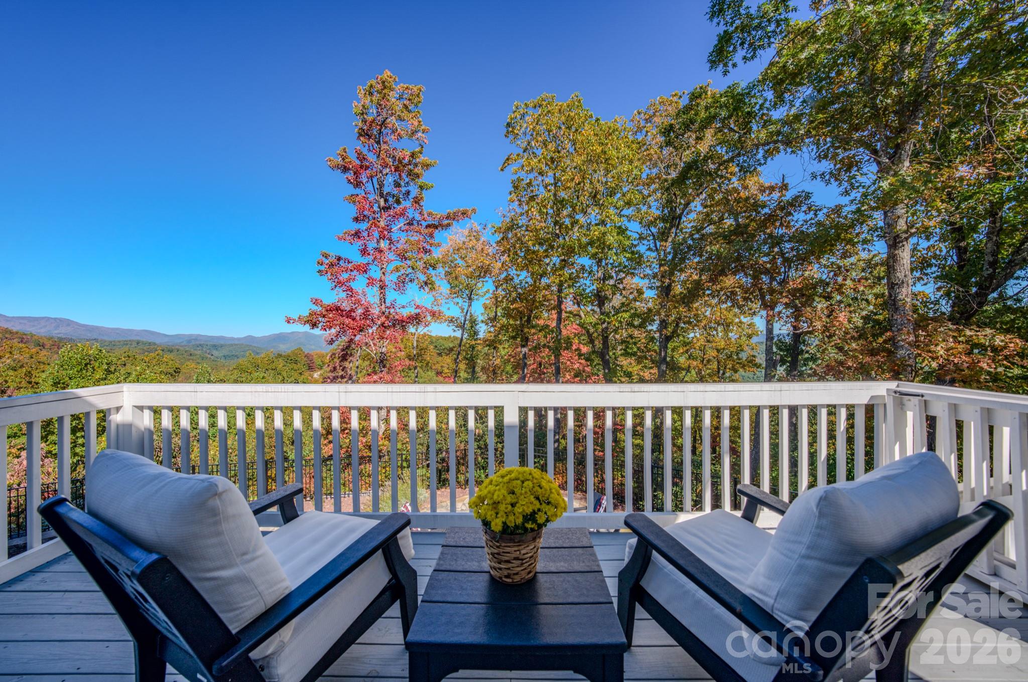 2488 Catawba Falls Parkway Property Photo 17