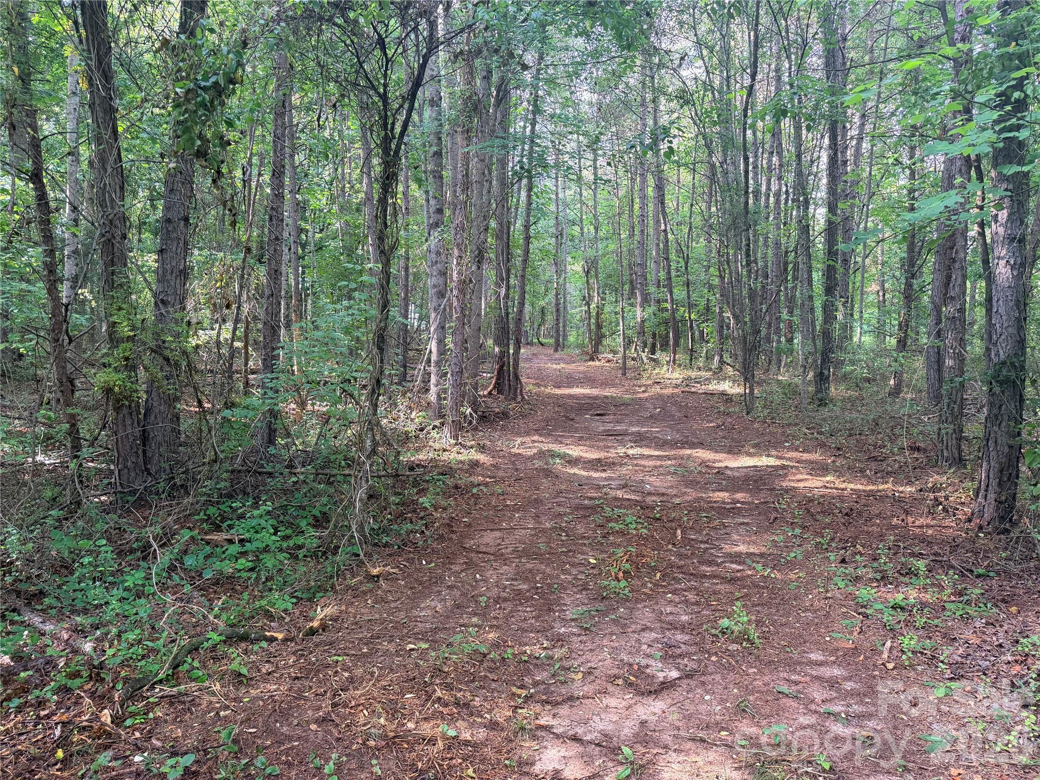 Lot 1 Schenck Farm Road Property Photo 10