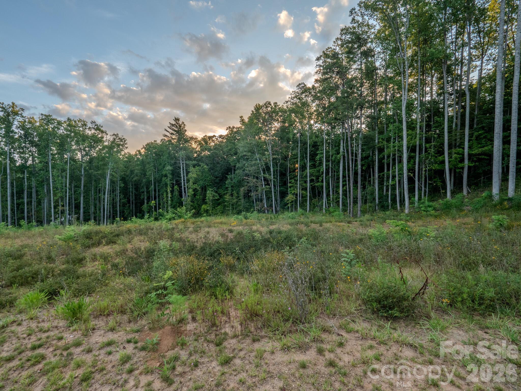 444 Irvine Drive Property Photo 6