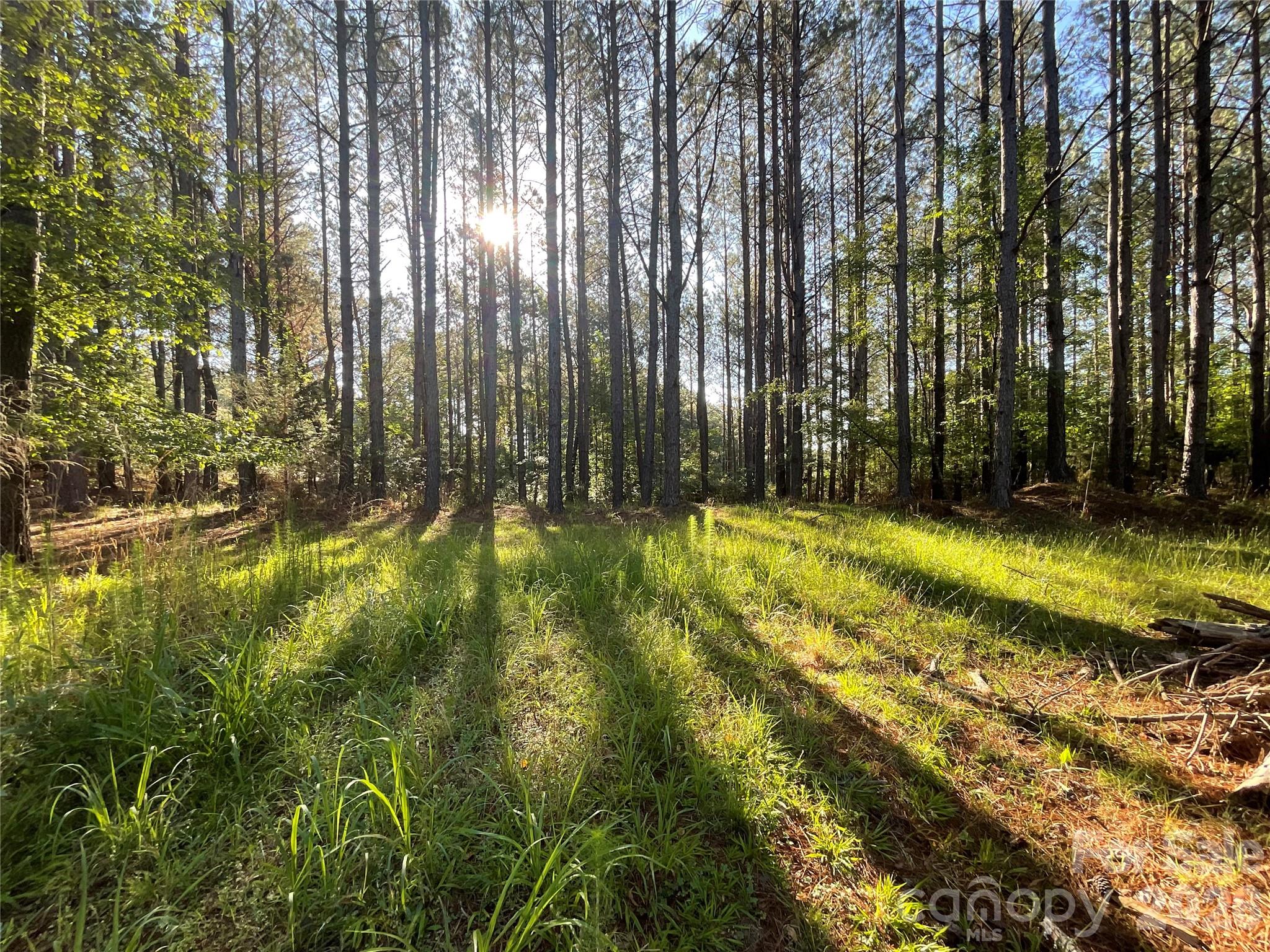 105 Whispering Pines Lane Property Photo 3