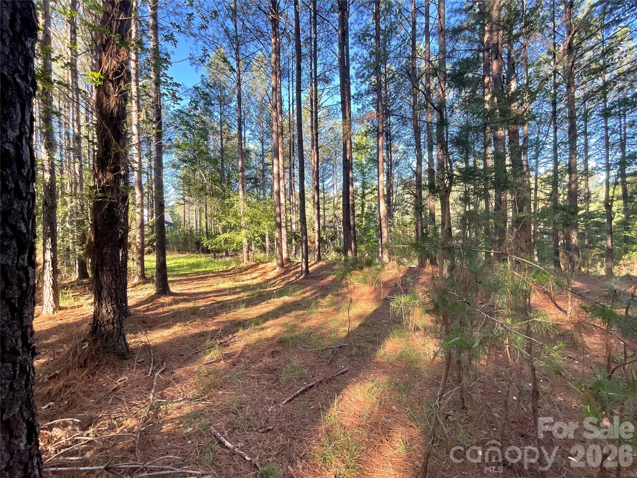 105 Whispering Pines Lane Property Photo 4