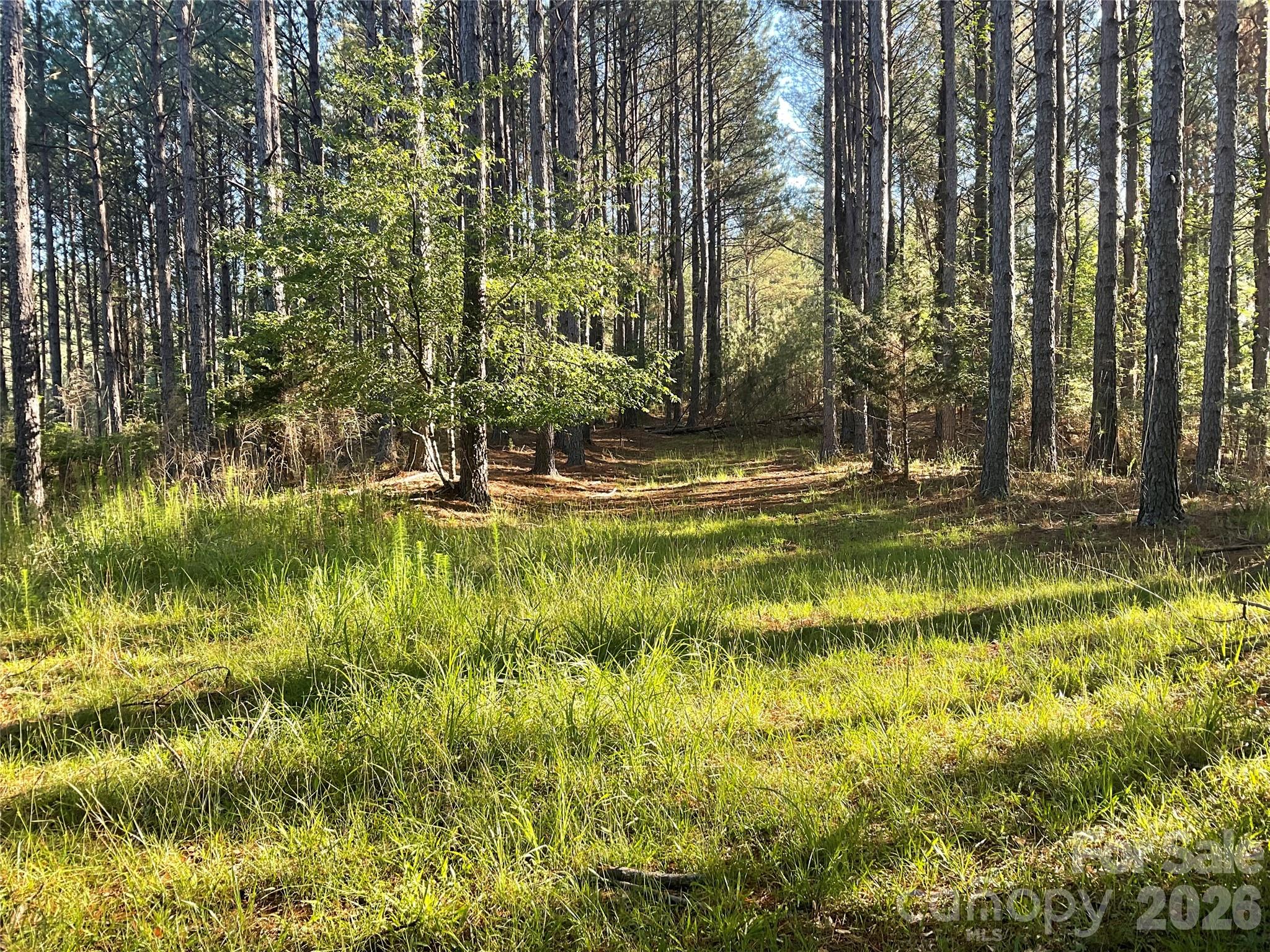 105 Whispering Pines Lane Property Photo 5