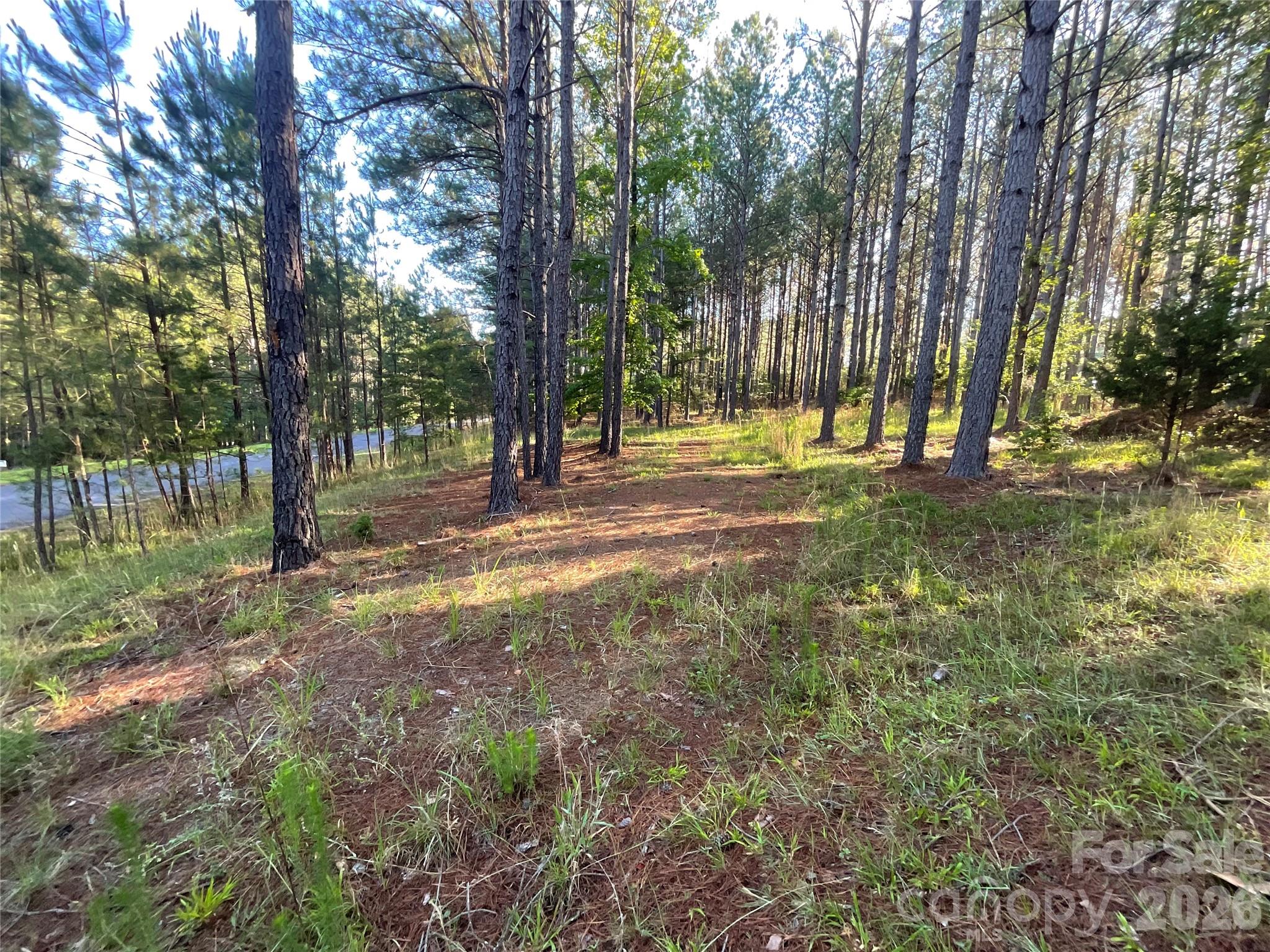 105 Whispering Pines Lane Property Photo 6