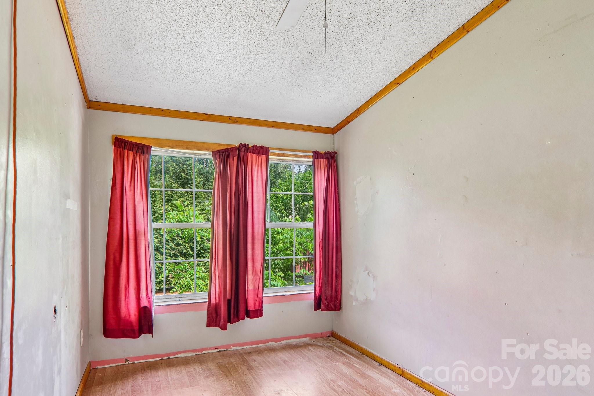 19 Dot Street Property Photo 15