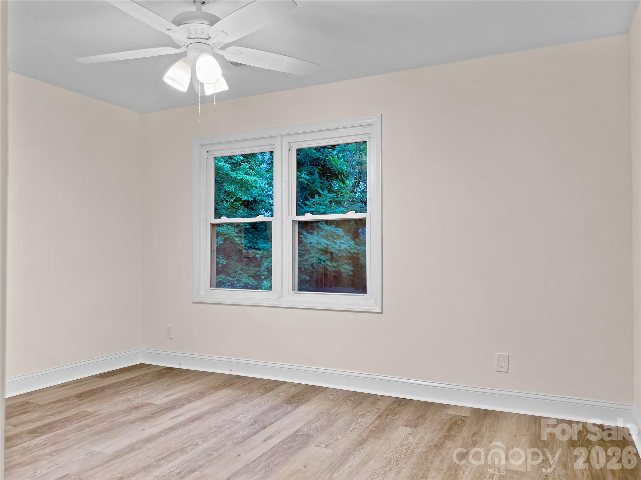 218 Palmer Street Property Photo 6