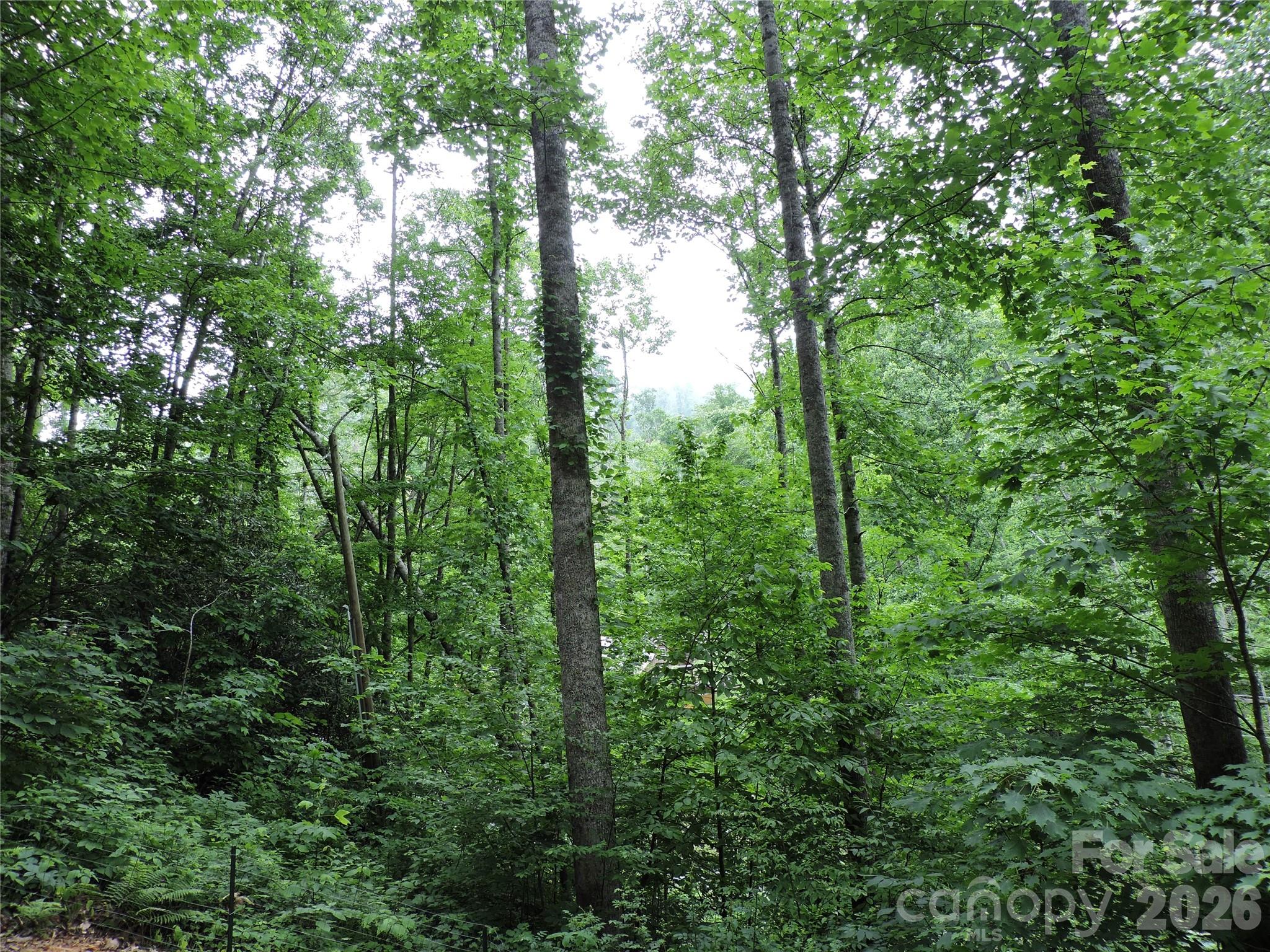 963 Melton Branch Road Property Photo 48